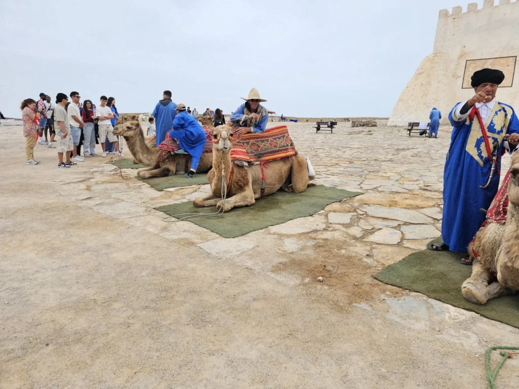 Cruising with Danny and Peter, Holland America Line, Nieuw Statendam, Agadir Morocco Adventure | A vibrant collage capturing a day in Agadir, Morocco, during a Holland America Nieuw Statendam cruise: the white façade and green-tiled minaret of Mosque Mohammed V gleaming under the sun; the bustling Agadir Marina with yachts bobbing in the harbor and golden beach sands stretching toward the Anti-Atlas Mountains; the historic Agadir Oufella kasbah ruins on a hill overlooking the sparkling Atlantic; Sven riding a camel along a scenic path with a Berber handler; the colorful chaos of Souk El Had market with stalls of spices, rugs, and jewelry; the lush Paradise Valley oasis with palm trees, clear pools, and tiny fish nibbling at feet; and an aromatic garden with Moroccan bread, argan oil, and mint tea under a shaded canopy.
