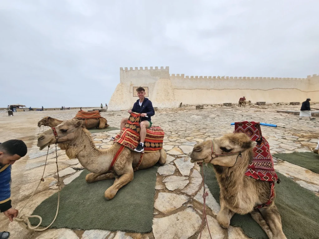 Cruising with Danny and Peter, Holland America Line, Nieuw Statendam, Agadir Morocco Adventure | A vibrant collage capturing a day in Agadir, Morocco, during a Holland America Nieuw Statendam cruise: the white façade and green-tiled minaret of Mosque Mohammed V gleaming under the sun; the bustling Agadir Marina with yachts bobbing in the harbor and golden beach sands stretching toward the Anti-Atlas Mountains; the historic Agadir Oufella kasbah ruins on a hill overlooking the sparkling Atlantic; Sven riding a camel along a scenic path with a Berber handler; the colorful chaos of Souk El Had market with stalls of spices, rugs, and jewelry; the lush Paradise Valley oasis with palm trees, clear pools, and tiny fish nibbling at feet; and an aromatic garden with Moroccan bread, argan oil, and mint tea under a shaded canopy.