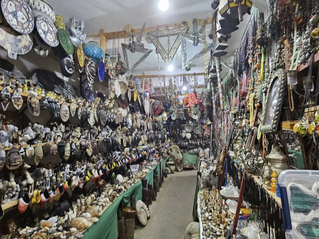 Cruising with Danny and Peter, Holland America Line, Nieuw Statendam, Agadir Morocco Adventure | A vibrant collage capturing a day in Agadir, Morocco, during a Holland America Nieuw Statendam cruise: the white façade and green-tiled minaret of Mosque Mohammed V gleaming under the sun; the bustling Agadir Marina with yachts bobbing in the harbor and golden beach sands stretching toward the Anti-Atlas Mountains; the historic Agadir Oufella kasbah ruins on a hill overlooking the sparkling Atlantic; Sven riding a camel along a scenic path with a Berber handler; the colorful chaos of Souk El Had market with stalls of spices, rugs, and jewelry; the lush Paradise Valley oasis with palm trees, clear pools, and tiny fish nibbling at feet; and an aromatic garden with Moroccan bread, argan oil, and mint tea under a shaded canopy.