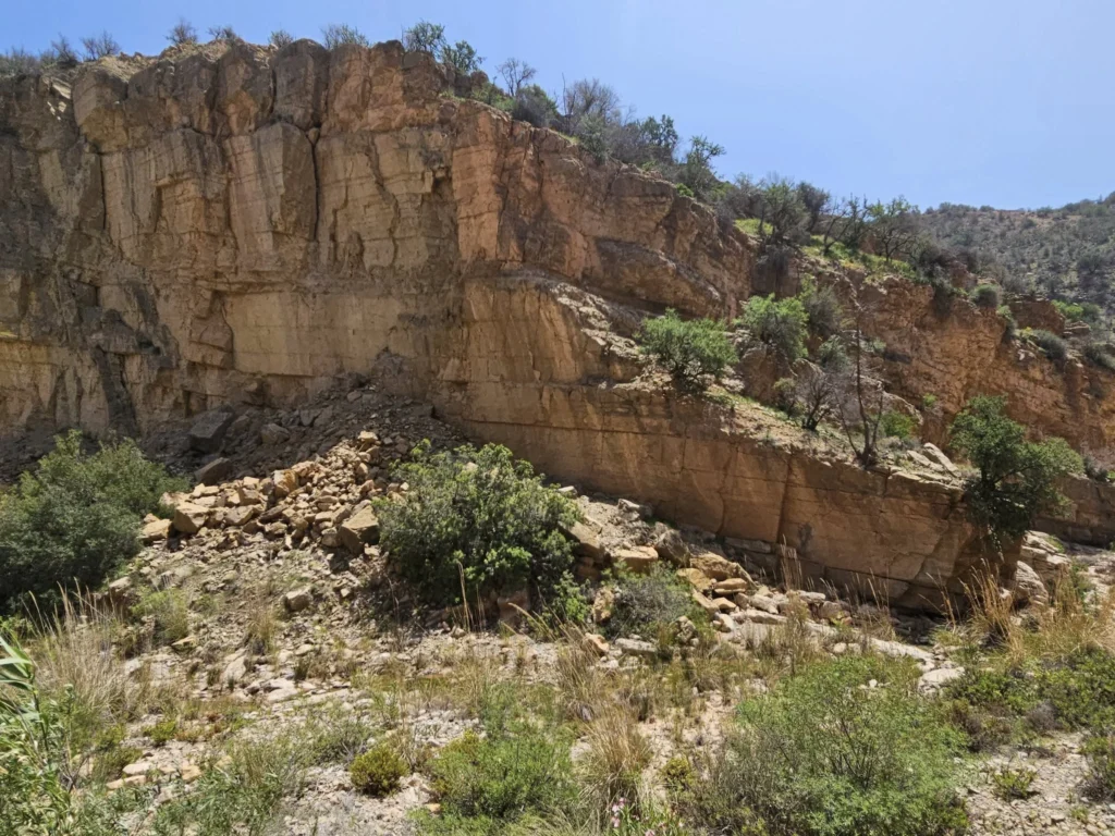 Cruising with Danny and Peter, Holland America Line, Nieuw Statendam, Agadir Morocco Adventure | A vibrant collage capturing a day in Agadir, Morocco, during a Holland America Nieuw Statendam cruise: the white façade and green-tiled minaret of Mosque Mohammed V gleaming under the sun; the bustling Agadir Marina with yachts bobbing in the harbor and golden beach sands stretching toward the Anti-Atlas Mountains; the historic Agadir Oufella kasbah ruins on a hill overlooking the sparkling Atlantic; Sven riding a camel along a scenic path with a Berber handler; the colorful chaos of Souk El Had market with stalls of spices, rugs, and jewelry; the lush Paradise Valley oasis with palm trees, clear pools, and tiny fish nibbling at feet; and an aromatic garden with Moroccan bread, argan oil, and mint tea under a shaded canopy.