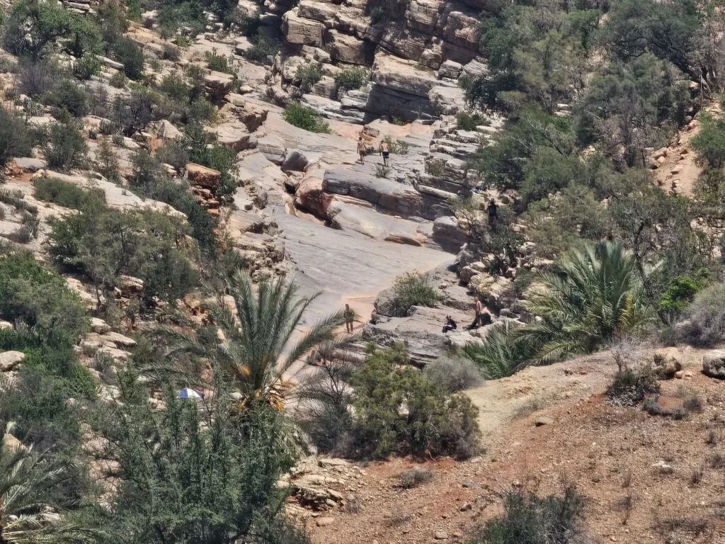Cruising with Danny and Peter, Holland America Line, Nieuw Statendam, Agadir Morocco Adventure | A vibrant collage capturing a day in Agadir, Morocco, during a Holland America Nieuw Statendam cruise: the white façade and green-tiled minaret of Mosque Mohammed V gleaming under the sun; the bustling Agadir Marina with yachts bobbing in the harbor and golden beach sands stretching toward the Anti-Atlas Mountains; the historic Agadir Oufella kasbah ruins on a hill overlooking the sparkling Atlantic; Sven riding a camel along a scenic path with a Berber handler; the colorful chaos of Souk El Had market with stalls of spices, rugs, and jewelry; the lush Paradise Valley oasis with palm trees, clear pools, and tiny fish nibbling at feet; and an aromatic garden with Moroccan bread, argan oil, and mint tea under a shaded canopy.