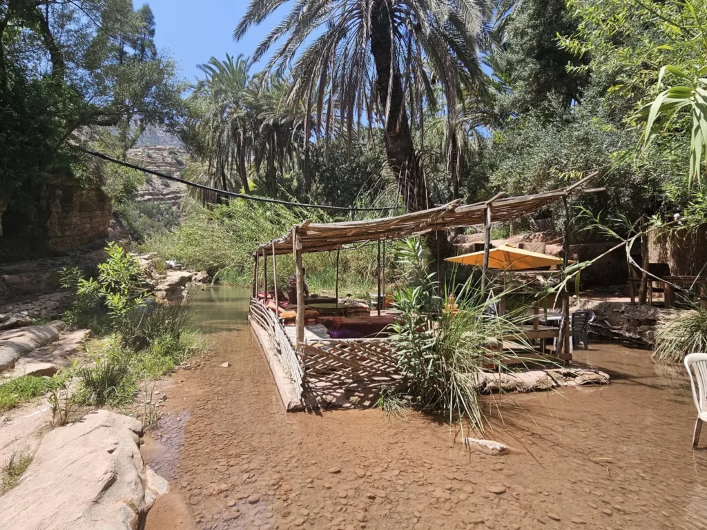 Cruising with Danny and Peter, Holland America Line, Nieuw Statendam, Agadir Morocco Adventure | A vibrant collage capturing a day in Agadir, Morocco, during a Holland America Nieuw Statendam cruise: the white façade and green-tiled minaret of Mosque Mohammed V gleaming under the sun; the bustling Agadir Marina with yachts bobbing in the harbor and golden beach sands stretching toward the Anti-Atlas Mountains; the historic Agadir Oufella kasbah ruins on a hill overlooking the sparkling Atlantic; Sven riding a camel along a scenic path with a Berber handler; the colorful chaos of Souk El Had market with stalls of spices, rugs, and jewelry; the lush Paradise Valley oasis with palm trees, clear pools, and tiny fish nibbling at feet; and an aromatic garden with Moroccan bread, argan oil, and mint tea under a shaded canopy.