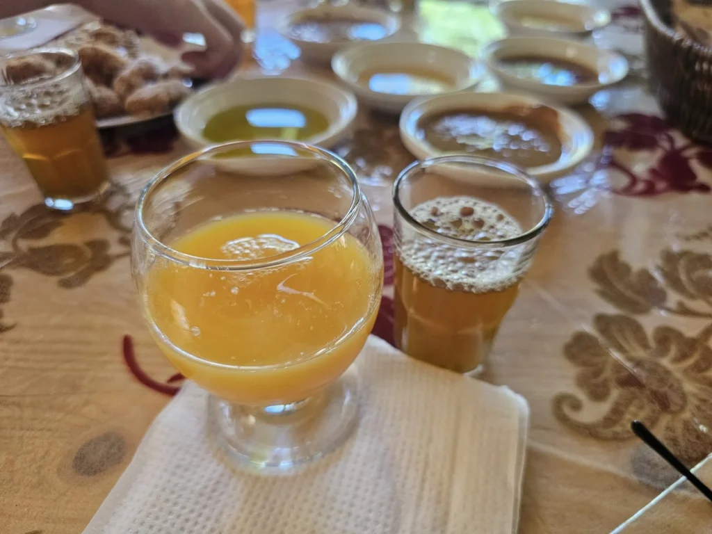 Cruising with Danny and Peter, Holland America Line, Nieuw Statendam, Agadir Morocco Adventure | A vibrant collage capturing a day in Agadir, Morocco, during a Holland America Nieuw Statendam cruise: the white façade and green-tiled minaret of Mosque Mohammed V gleaming under the sun; the bustling Agadir Marina with yachts bobbing in the harbor and golden beach sands stretching toward the Anti-Atlas Mountains; the historic Agadir Oufella kasbah ruins on a hill overlooking the sparkling Atlantic; Sven riding a camel along a scenic path with a Berber handler; the colorful chaos of Souk El Had market with stalls of spices, rugs, and jewelry; the lush Paradise Valley oasis with palm trees, clear pools, and tiny fish nibbling at feet; and an aromatic garden with Moroccan bread, argan oil, and mint tea under a shaded canopy.