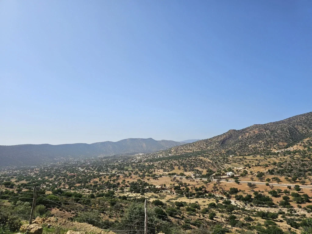 Cruising with Danny and Peter, Holland America Line, Nieuw Statendam, Agadir Morocco Adventure | A vibrant collage capturing a day in Agadir, Morocco, during a Holland America Nieuw Statendam cruise: the white façade and green-tiled minaret of Mosque Mohammed V gleaming under the sun; the bustling Agadir Marina with yachts bobbing in the harbor and golden beach sands stretching toward the Anti-Atlas Mountains; the historic Agadir Oufella kasbah ruins on a hill overlooking the sparkling Atlantic; Sven riding a camel along a scenic path with a Berber handler; the colorful chaos of Souk El Had market with stalls of spices, rugs, and jewelry; the lush Paradise Valley oasis with palm trees, clear pools, and tiny fish nibbling at feet; and an aromatic garden with Moroccan bread, argan oil, and mint tea under a shaded canopy.