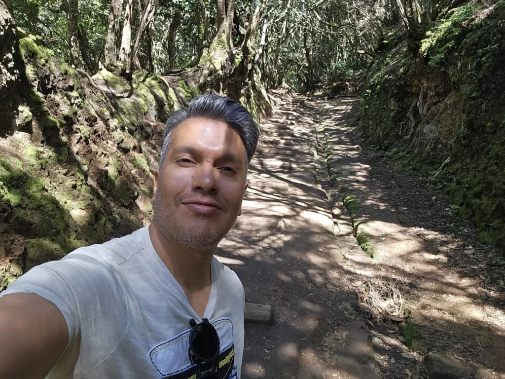 Cruising with Danny and Peter, Holland America Line, Nieuw Statendam, Santa Cruz, Tenerife, Canary Islands, History Adventure | A vibrant collage capturing Santa Cruz, Tenerife’s diverse beauty: the misty, lush laurel forests of Anaga Rural Park with sunlight filtering through dense green foliage at Mirador Cruz del Carmen; a panoramic view from Mirador Pico del Inglés showcasing rugged Anaga Mountains and the distant Atlantic Ocean under a partly cloudy sky; the golden sands of Playa de las Teresitas lined with palm trees and calm turquoise waters; a colorful seafood platter with grilled prawns and papas arrugadas served at a beachfront restaurant; and the elegant Nieuw Statendam cruise ship docked at Santa Cruz port with the city’s skyline and Anaga Mountains in the background.