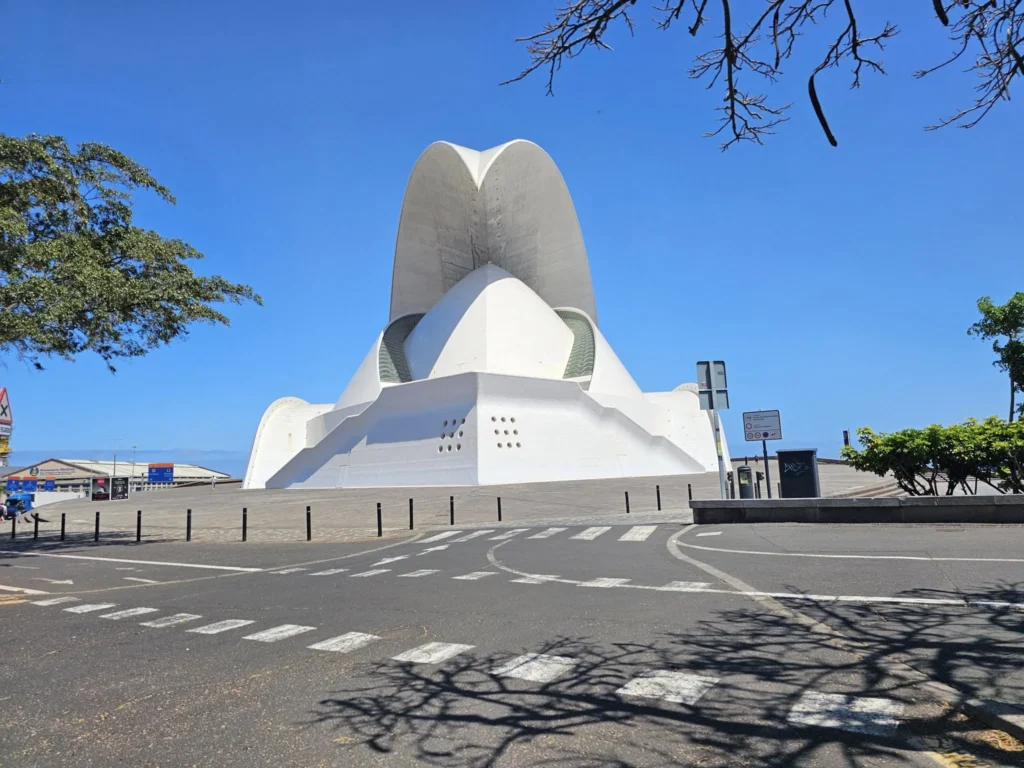 Cruising with Danny and Peter, Holland America Line, Nieuw Statendam, Santa Cruz, Tenerife, Canary Islands, History Adventure | A vibrant collage capturing Santa Cruz, Tenerife’s diverse beauty: the misty, lush laurel forests of Anaga Rural Park with sunlight filtering through dense green foliage at Mirador Cruz del Carmen; a panoramic view from Mirador Pico del Inglés showcasing rugged Anaga Mountains and the distant Atlantic Ocean under a partly cloudy sky; the golden sands of Playa de las Teresitas lined with palm trees and calm turquoise waters; a colorful seafood platter with grilled prawns and papas arrugadas served at a beachfront restaurant; and the elegant Nieuw Statendam cruise ship docked at Santa Cruz port with the city’s skyline and Anaga Mountains in the background.