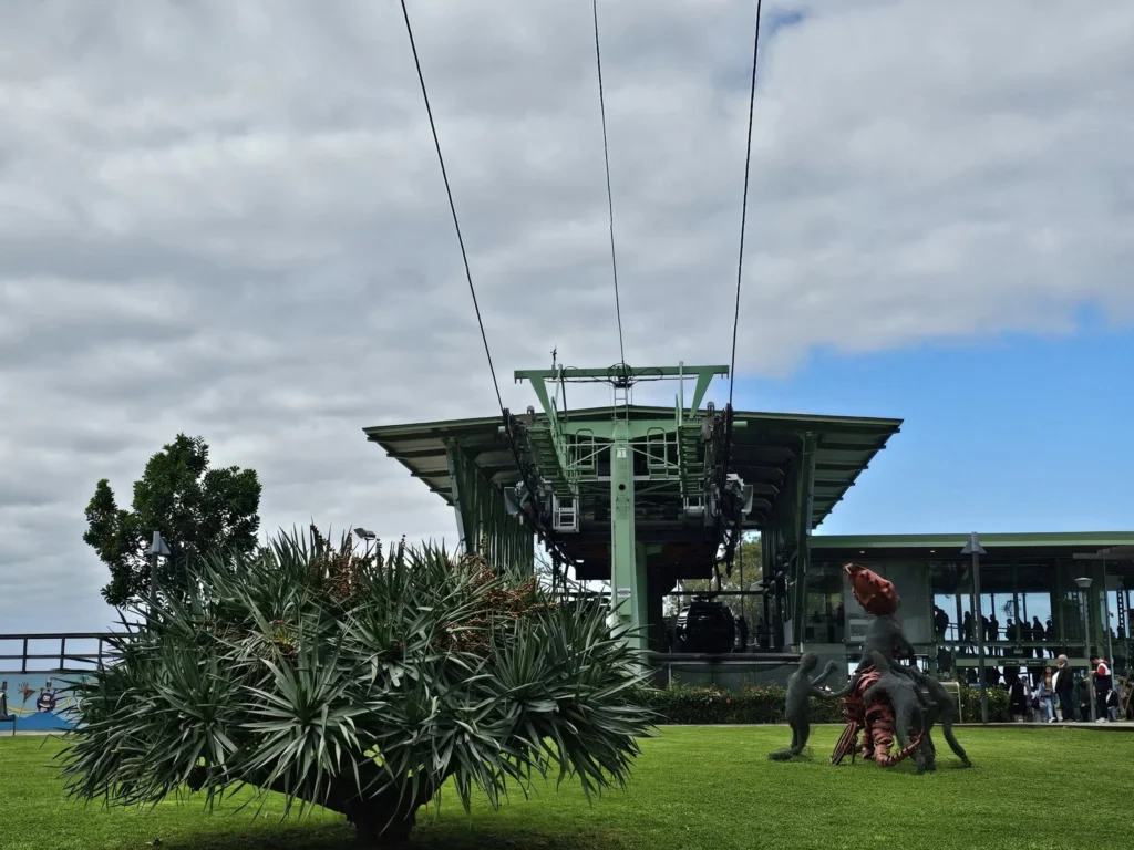 Cruising with Danny and Peter, Holland America Line, Nieuw Statendam, Funchal, Madeira. Portugal, History Adventure | A vibrant collage capturing a day in Funchal, Madeira: a sleek trike navigates winding roads with lush green hills in the background; the panoramic view from Pico dos Barcelos showcases Funchal Bay and the Desertas Islands under a clear sky; Cascata dos Anjos waterfall cascades from cliffs onto a road, surrounded by verdant greenery; Praia da Madalena do Mar’s pebbled beach and black volcanic sand meet gentle waves with towering cliffs above; the misty Valley of the Nuns nestles between rugged mountains, dotted with stone houses and chestnut groves; Cabo Girão’s glass-bottomed skywalk reveals a dizzying drop to the Atlantic and terraced fields below; a plate of warm bolo do caco flatbread filled with steak sits on a café table in Funchal’s colorful old town; the CR7 Museum displays Cristiano Ronaldo’s trophies and jerseys with a waterfront view of the Nieuw Statendam; and Nami Sushi Bar’s elegant sushi platter gleams under soft lighting aboard the ship.