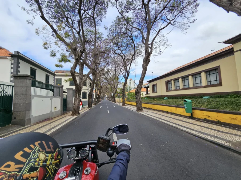 Cruising with Danny and Peter, Holland America Line, Nieuw Statendam, Funchal, Madeira. Portugal, History Adventure | A vibrant collage capturing a day in Funchal, Madeira: a sleek trike navigates winding roads with lush green hills in the background; the panoramic view from Pico dos Barcelos showcases Funchal Bay and the Desertas Islands under a clear sky; Cascata dos Anjos waterfall cascades from cliffs onto a road, surrounded by verdant greenery; Praia da Madalena do Mar’s pebbled beach and black volcanic sand meet gentle waves with towering cliffs above; the misty Valley of the Nuns nestles between rugged mountains, dotted with stone houses and chestnut groves; Cabo Girão’s glass-bottomed skywalk reveals a dizzying drop to the Atlantic and terraced fields below; a plate of warm bolo do caco flatbread filled with steak sits on a café table in Funchal’s colorful old town; the CR7 Museum displays Cristiano Ronaldo’s trophies and jerseys with a waterfront view of the Nieuw Statendam; and Nami Sushi Bar’s elegant sushi platter gleams under soft lighting aboard the ship.