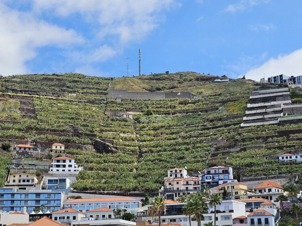 Cruising with Danny and Peter, Holland America Line, Nieuw Statendam, Funchal, Madeira. Portugal, History Adventure | A vibrant collage capturing a day in Funchal, Madeira: a sleek trike navigates winding roads with lush green hills in the background; the panoramic view from Pico dos Barcelos showcases Funchal Bay and the Desertas Islands under a clear sky; Cascata dos Anjos waterfall cascades from cliffs onto a road, surrounded by verdant greenery; Praia da Madalena do Mar’s pebbled beach and black volcanic sand meet gentle waves with towering cliffs above; the misty Valley of the Nuns nestles between rugged mountains, dotted with stone houses and chestnut groves; Cabo Girão’s glass-bottomed skywalk reveals a dizzying drop to the Atlantic and terraced fields below; a plate of warm bolo do caco flatbread filled with steak sits on a café table in Funchal’s colorful old town; the CR7 Museum displays Cristiano Ronaldo’s trophies and jerseys with a waterfront view of the Nieuw Statendam; and Nami Sushi Bar’s elegant sushi platter gleams under soft lighting aboard the ship.