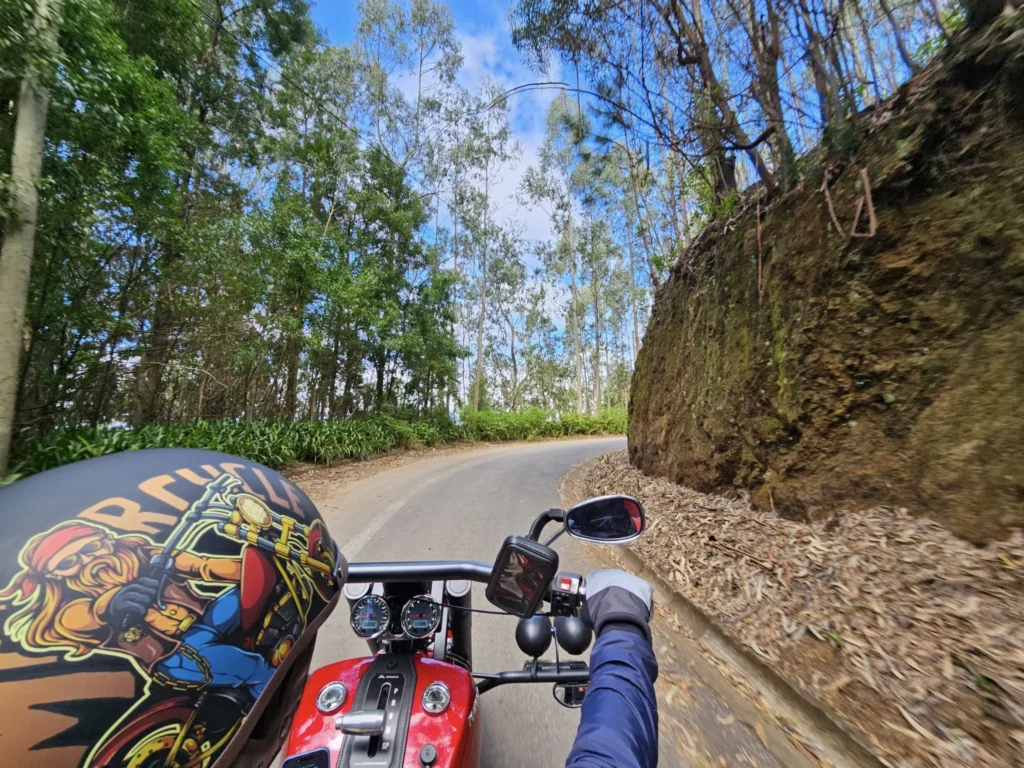 Cruising with Danny and Peter, Holland America Line, Nieuw Statendam, Funchal, Madeira. Portugal, History Adventure | A vibrant collage capturing a day in Funchal, Madeira: a sleek trike navigates winding roads with lush green hills in the background; the panoramic view from Pico dos Barcelos showcases Funchal Bay and the Desertas Islands under a clear sky; Cascata dos Anjos waterfall cascades from cliffs onto a road, surrounded by verdant greenery; Praia da Madalena do Mar’s pebbled beach and black volcanic sand meet gentle waves with towering cliffs above; the misty Valley of the Nuns nestles between rugged mountains, dotted with stone houses and chestnut groves; Cabo Girão’s glass-bottomed skywalk reveals a dizzying drop to the Atlantic and terraced fields below; a plate of warm bolo do caco flatbread filled with steak sits on a café table in Funchal’s colorful old town; the CR7 Museum displays Cristiano Ronaldo’s trophies and jerseys with a waterfront view of the Nieuw Statendam; and Nami Sushi Bar’s elegant sushi platter gleams under soft lighting aboard the ship.