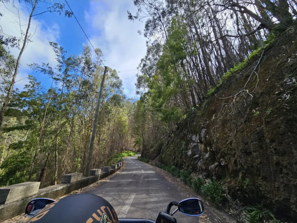 Cruising with Danny and Peter, Holland America Line, Nieuw Statendam, Funchal, Madeira. Portugal, History Adventure | A vibrant collage capturing a day in Funchal, Madeira: a sleek trike navigates winding roads with lush green hills in the background; the panoramic view from Pico dos Barcelos showcases Funchal Bay and the Desertas Islands under a clear sky; Cascata dos Anjos waterfall cascades from cliffs onto a road, surrounded by verdant greenery; Praia da Madalena do Mar’s pebbled beach and black volcanic sand meet gentle waves with towering cliffs above; the misty Valley of the Nuns nestles between rugged mountains, dotted with stone houses and chestnut groves; Cabo Girão’s glass-bottomed skywalk reveals a dizzying drop to the Atlantic and terraced fields below; a plate of warm bolo do caco flatbread filled with steak sits on a café table in Funchal’s colorful old town; the CR7 Museum displays Cristiano Ronaldo’s trophies and jerseys with a waterfront view of the Nieuw Statendam; and Nami Sushi Bar’s elegant sushi platter gleams under soft lighting aboard the ship.