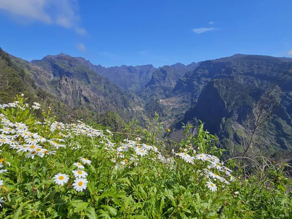 Cruising with Danny and Peter, Holland America Line, Nieuw Statendam, Funchal, Madeira. Portugal, History Adventure | A vibrant collage capturing a day in Funchal, Madeira: a sleek trike navigates winding roads with lush green hills in the background; the panoramic view from Pico dos Barcelos showcases Funchal Bay and the Desertas Islands under a clear sky; Cascata dos Anjos waterfall cascades from cliffs onto a road, surrounded by verdant greenery; Praia da Madalena do Mar’s pebbled beach and black volcanic sand meet gentle waves with towering cliffs above; the misty Valley of the Nuns nestles between rugged mountains, dotted with stone houses and chestnut groves; Cabo Girão’s glass-bottomed skywalk reveals a dizzying drop to the Atlantic and terraced fields below; a plate of warm bolo do caco flatbread filled with steak sits on a café table in Funchal’s colorful old town; the CR7 Museum displays Cristiano Ronaldo’s trophies and jerseys with a waterfront view of the Nieuw Statendam; and Nami Sushi Bar’s elegant sushi platter gleams under soft lighting aboard the ship.
