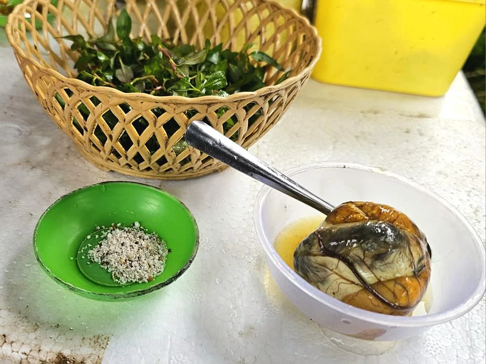 Cruising with Danny and Peter, Holland America Line, Westerdam, Da Nang, Hue, Hoi An, Vietnam, Hoi An Travel Guide: 10 Unmissable Adventures | Collage of a Hội An Travel Guide adventure: Tourists enjoying a Basket Boat Ride through Cam Thanh Eco-Village’s lush waterways, local farmers tending organic herbs at Tra Que Village showcasing Vietnamese Culture, the historic Japanese Bridge in Hội An Old Town, a close-up of creamy Egg Coffee from Vietnamese Cuisine, vibrant Lantern-Lit Streets glowing at night, and a scenic view from a Da Nang Day Trip to kick off this unforgettable journey.