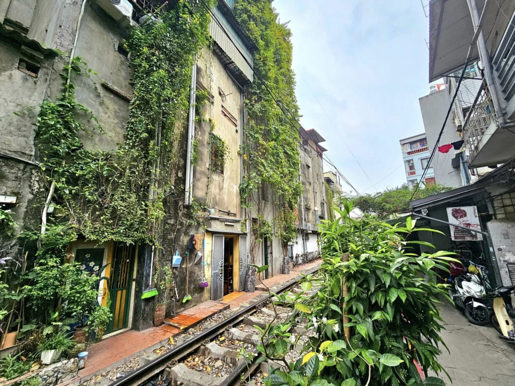 Cruising with Danny and Peter, Holland America Line, Westerdam, Halong Bay, Hanoi, Vietnam, Vietnam Travel Eexperience Hanoi Halong Bay | Kayaking through emerald waters during a Hạ Long Bay Adventure with limestone karsts, a train passing inches from cafés on Hanoi Railway Street showcasing Hanoi Street Life, the granite Ho Chi Minh Mausoleum in Ba Dinh Square honoring the Ho Chi Minh Legacy, the lotus-shaped One Pillar Pagoda in a pond among Hanoi Historical Sites, ancient courtyards of the Temple of Literature from a Vietnam Heritage Journey, vibrant street food stalls in an Old Quarter Food Tour, and creamy egg coffee at Cafe Giảng for an Egg Coffee Experience, all part of an unforgettable Vietnam Travel Experience and Hanoi Cultural Exploration Tour.