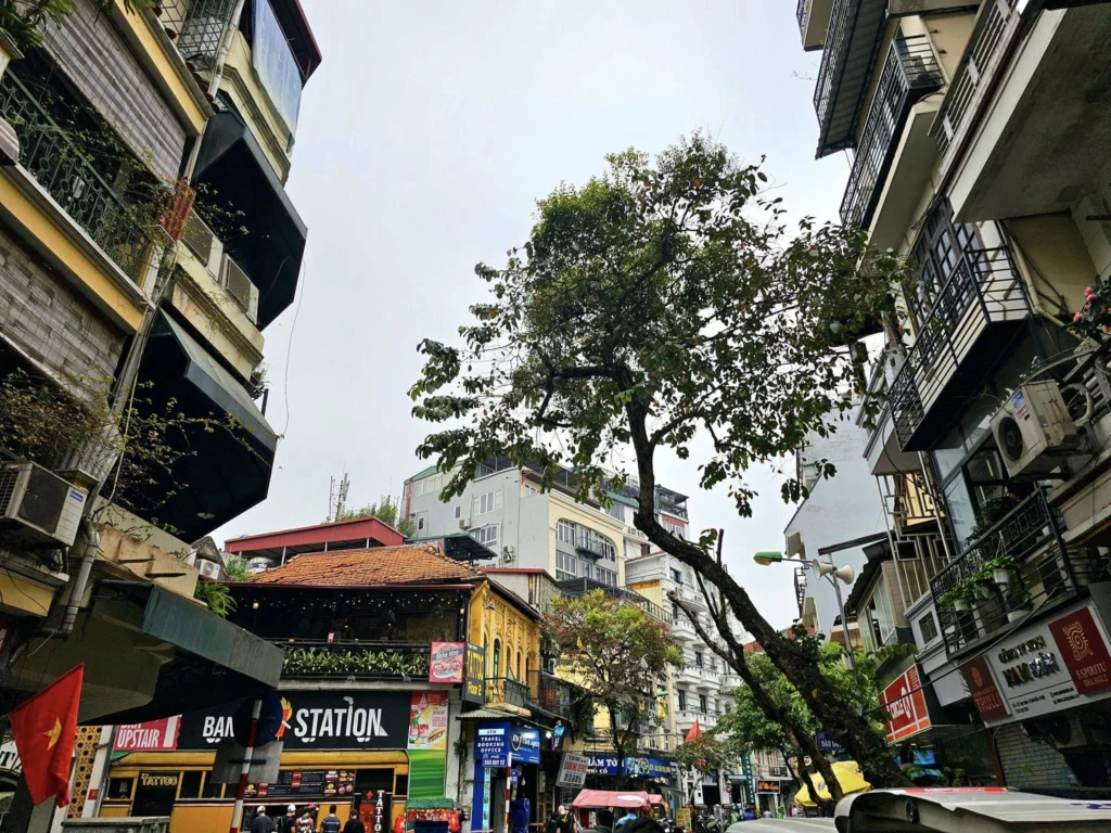 Cruising with Danny and Peter, Holland America Line, Westerdam, Halong Bay, Hanoi, Vietnam, Vietnam Travel Eexperience Hanoi Halong Bay | Kayaking through emerald waters during a Hạ Long Bay Adventure with limestone karsts, a train passing inches from cafés on Hanoi Railway Street showcasing Hanoi Street Life, the granite Ho Chi Minh Mausoleum in Ba Dinh Square honoring the Ho Chi Minh Legacy, the lotus-shaped One Pillar Pagoda in a pond among Hanoi Historical Sites, ancient courtyards of the Temple of Literature from a Vietnam Heritage Journey, vibrant street food stalls in an Old Quarter Food Tour, and creamy egg coffee at Cafe Giảng for an Egg Coffee Experience, all part of an unforgettable Vietnam Travel Experience and Hanoi Cultural Exploration Tour.