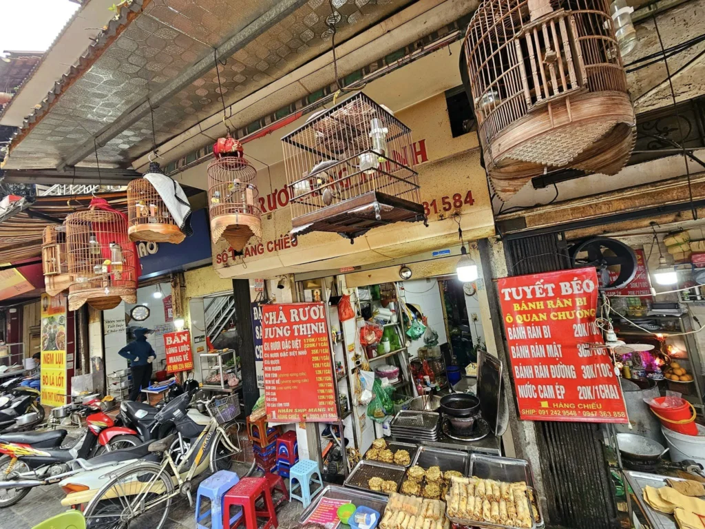 Cruising with Danny and Peter, Holland America Line, Westerdam, Halong Bay, Hanoi, Vietnam, Vietnam Travel Eexperience Hanoi Halong Bay | Kayaking through emerald waters during a Hạ Long Bay Adventure with limestone karsts, a train passing inches from cafés on Hanoi Railway Street showcasing Hanoi Street Life, the granite Ho Chi Minh Mausoleum in Ba Dinh Square honoring the Ho Chi Minh Legacy, the lotus-shaped One Pillar Pagoda in a pond among Hanoi Historical Sites, ancient courtyards of the Temple of Literature from a Vietnam Heritage Journey, vibrant street food stalls in an Old Quarter Food Tour, and creamy egg coffee at Cafe Giảng for an Egg Coffee Experience, all part of an unforgettable Vietnam Travel Experience and Hanoi Cultural Exploration Tour.