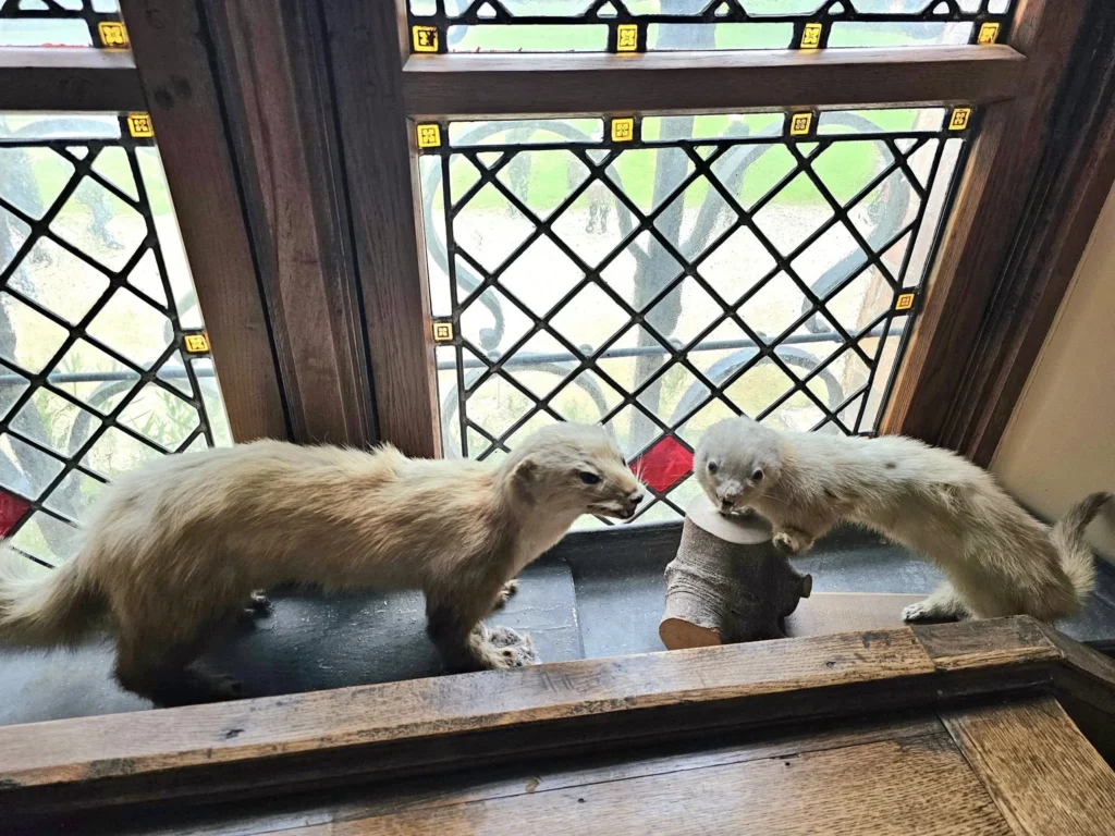 Cruising with Danny and Peter, MSC Cruises, MSC Preziosa, Zeebrugge, Brussels, Belgium, Exploring Loppem Castle in Flanders, a stunning example of Neo-Gothic Belgium architecture, surrounded by lush gardens and an intricate hedge maze. The historic canals of Flanders and Belgium medieval towns, including Damme bookshops and Bruges windmills, add to the region’s timeless charm. Inside the castle, beautifully preserved furnishings and stained-glass windows showcase the grandeur of Flanders historical sites. Indulging in Belgian chocolate tasting at Roose’s Chocolate World provides a sweet interlude. The Pieter Bruegel art tour and an MSC Northern Europe cruise complete this unforgettable Flanders travel experience.