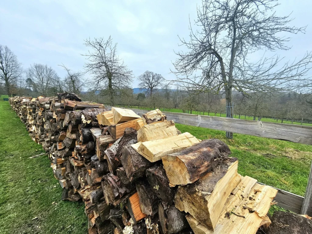 Cruising with Danny and Peter, MSC Cruises, MSC Preziosa, Le Havre, Paris, France, Explore the beauty of a Le Havre Cruise, featuring a Normandy Excursion from Le Havre with a Honfleur Shore Excursion, scenic Seine River Journey, and a visit to a Calvados Distillery Tour. Discover the charm of Historic Normandy Towns, the architectural wonders of the Le Havre UNESCO Site, and enjoy a Paris Day Trip from Cruise. Immerse yourself in this Luxury Cruise Experience through Northern France Getaway.