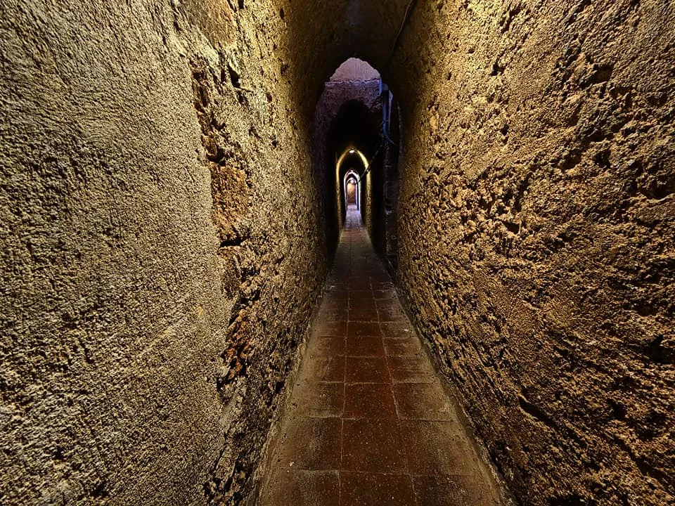 Cruising with Danny and Peter, Holland America Line, Nieuw Statendam, Palermo, Sicily, Italy | Stunning views of the Monreale Cathedral showcasing intricate mosaics and architectural heritage of Sicily, capturing the essence of our Sicily travel experience and vibrant scenes from the bustling streets of Palermo.