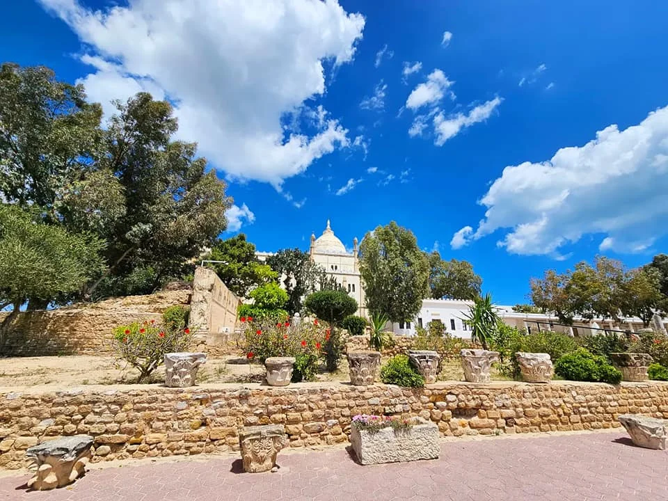 Cruising wiith Danny and Peter, Holland America Line, Nieuw Statendam, La Goulette, Tunis, Tunisia, Exploring Tunisias Cultural Treasures | Nieuw Statendam sails the Mediterranean for Holland America Adventures, docking at La Goulette Port to begin Exploring Tunisia’s Cultural Treasures. Ancient ruins from the Carthage Ruins Tour highlight Historical Sites Tunisia, while Sidi Bou Said Village’s white and blue homes shine as a Mediterranean Cruise Destinations gem. Tunis Medina Markets bustle with spices and Tunisian Artisan Crafts, and vibrant Tunisian cuisine reflects Tunisia Cultural Treasures in North Africa Tourism.
