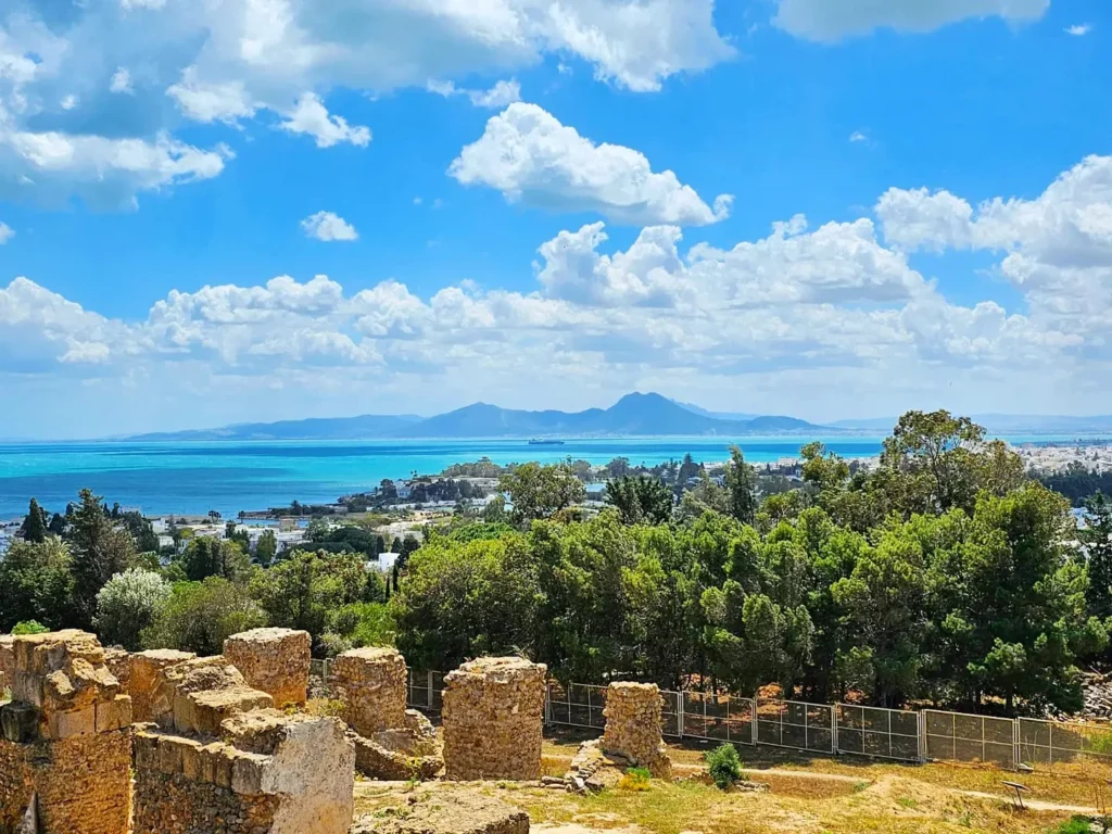 Cruising wiith Danny and Peter, Holland America Line, Nieuw Statendam, La Goulette, Tunis, Tunisia, Exploring Tunisias Cultural Treasures | Nieuw Statendam sails the Mediterranean for Holland America Adventures, docking at La Goulette Port to begin Exploring Tunisia’s Cultural Treasures. Ancient ruins from the Carthage Ruins Tour highlight Historical Sites Tunisia, while Sidi Bou Said Village’s white and blue homes shine as a Mediterranean Cruise Destinations gem. Tunis Medina Markets bustle with spices and Tunisian Artisan Crafts, and vibrant Tunisian cuisine reflects Tunisia Cultural Treasures in North Africa Tourism.