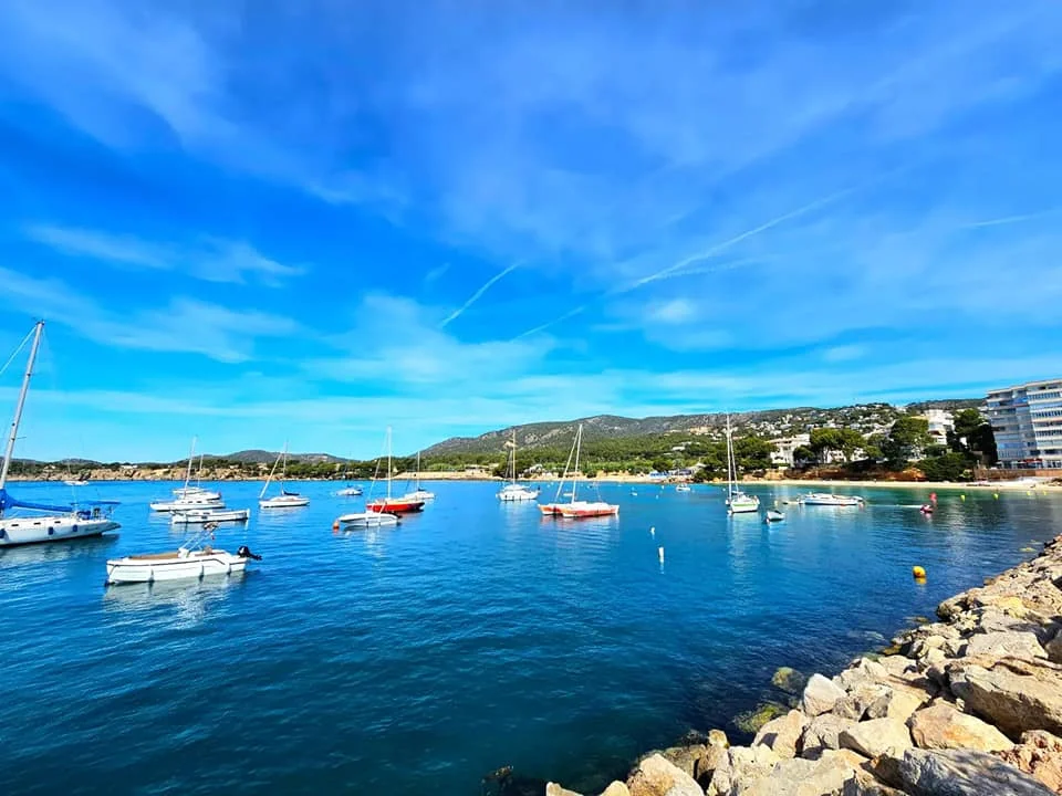 Cruising with Danny and Peter, Holland America Line, Nieuw Statendam, Palma de Mallorca, Spain | Scenic coastal drive in Mallorca during the Palma de Mallorca Sunset Tour, featuring rugged cliffs and azure waters. Historic Palma Cathedral with Gothic architecture is also highlighted. The luxurious seafood feast aboard MS Nieuw Statendam includes lobster, shrimp, and crab, complemented by a stunning Mediterranean sunset with pink and gold hues in the sky.