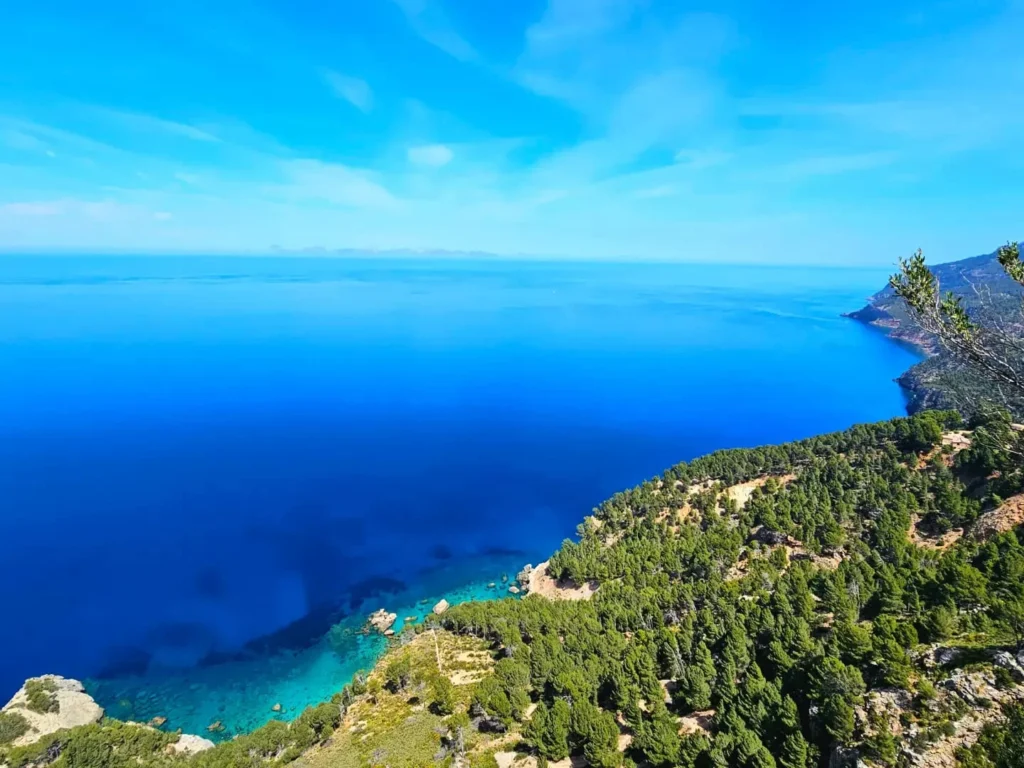 Cruising with Danny and Peter, Holland America Line, Nieuw Statendam, Palma de Mallorca, Spain | Scenic coastal drive in Mallorca during the Palma de Mallorca Sunset Tour, featuring rugged cliffs and azure waters. Historic Palma Cathedral with Gothic architecture is also highlighted. The luxurious seafood feast aboard MS Nieuw Statendam includes lobster, shrimp, and crab, complemented by a stunning Mediterranean sunset with pink and gold hues in the sky.