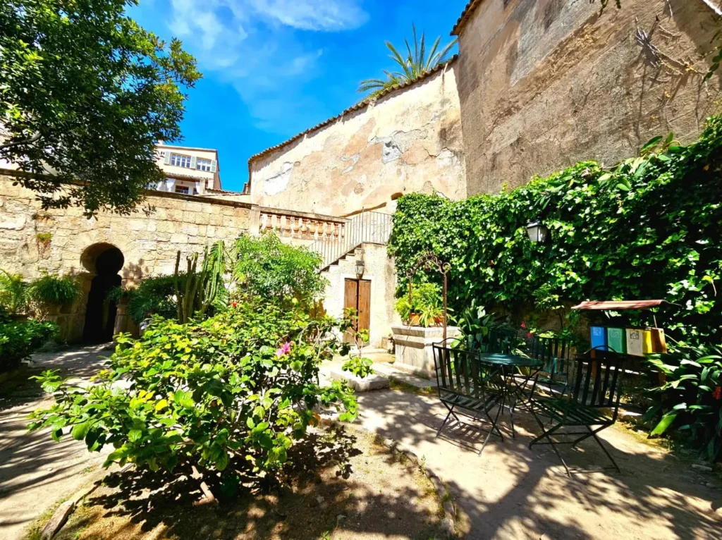 Cruising with Danny and Peter, Holland America Line, Nieuw Statendam, Palma de Mallorca, Spain | Scenic coastal drive in Mallorca during the Palma de Mallorca Sunset Tour, featuring rugged cliffs and azure waters. Historic Palma Cathedral with Gothic architecture is also highlighted. The luxurious seafood feast aboard MS Nieuw Statendam includes lobster, shrimp, and crab, complemented by a stunning Mediterranean sunset with pink and gold hues in the sky.