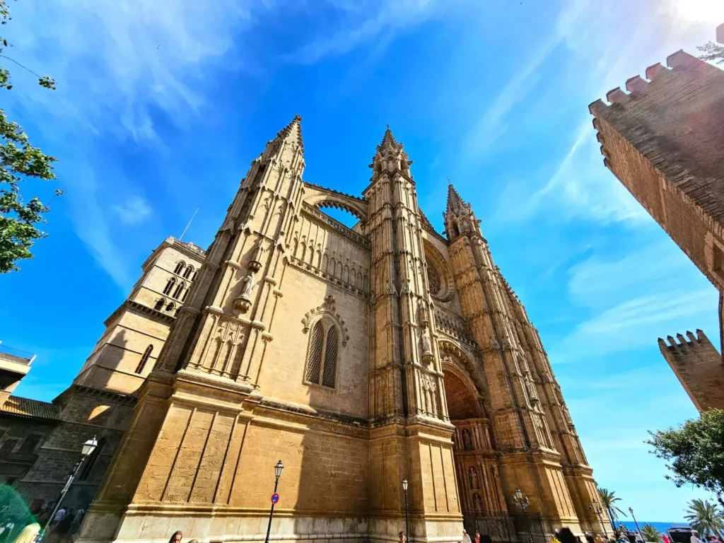 Cruising with Danny and Peter, Holland America Line, Nieuw Statendam, Palma de Mallorca, Spain | Scenic coastal drive in Mallorca during the Palma de Mallorca Sunset Tour, featuring rugged cliffs and azure waters. Historic Palma Cathedral with Gothic architecture is also highlighted. The luxurious seafood feast aboard MS Nieuw Statendam includes lobster, shrimp, and crab, complemented by a stunning Mediterranean sunset with pink and gold hues in the sky.