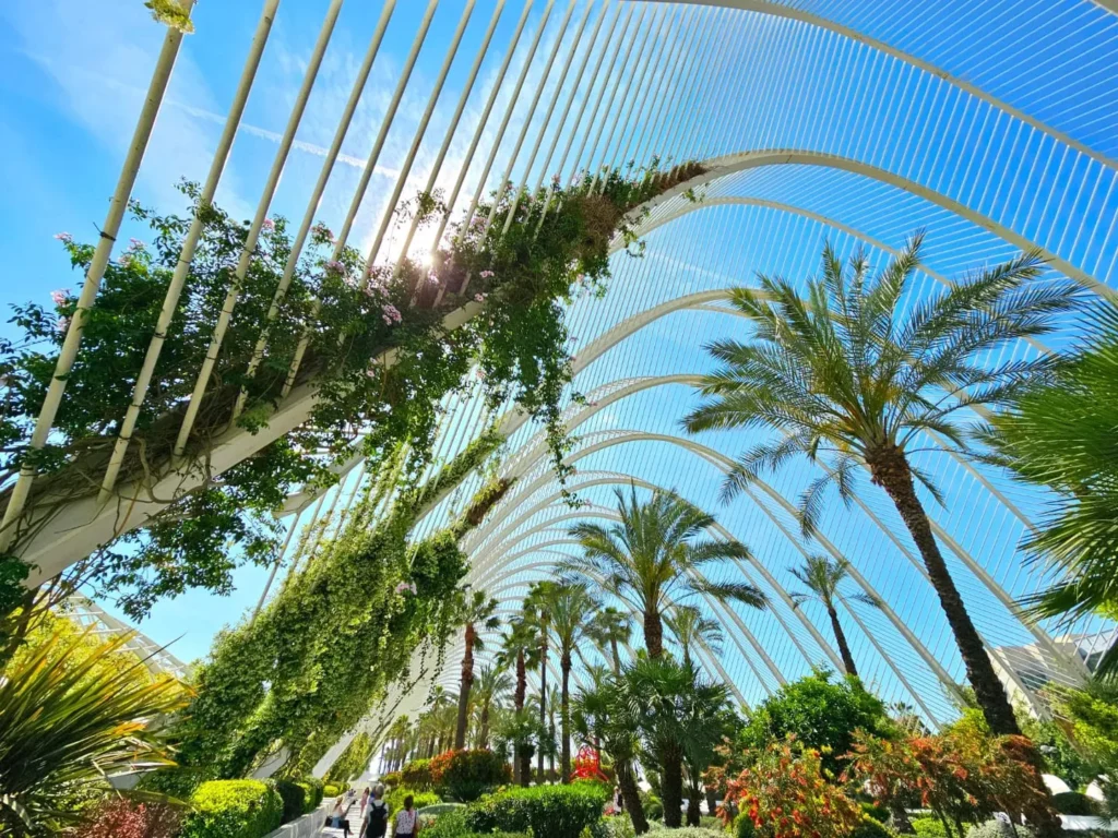 Valencia Cruise Adventure: E-Step Exploration, Beach Bliss, and Canaletto Cuisine 17 Cruising with Danny and Peter, Holland America Line, Nieuw Statendam, Valencia, Spain | Exploring Valencia on an e-step during a Mediterranean cruise adventure, passing iconic landmarks like the City of Arts and Sciences and the historic Barrio del Carmen.