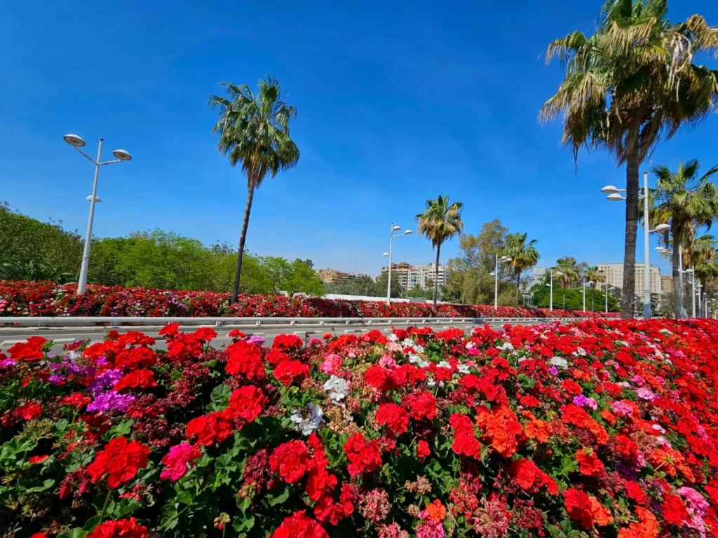 Valencia Cruise Adventure: E-Step Exploration, Beach Bliss, and Canaletto Cuisine 27 Cruising with Danny and Peter, Holland America Line, Nieuw Statendam, Valencia, Spain | Exploring Valencia on an e-step during a Mediterranean cruise adventure, passing iconic landmarks like the City of Arts and Sciences and the historic Barrio del Carmen.