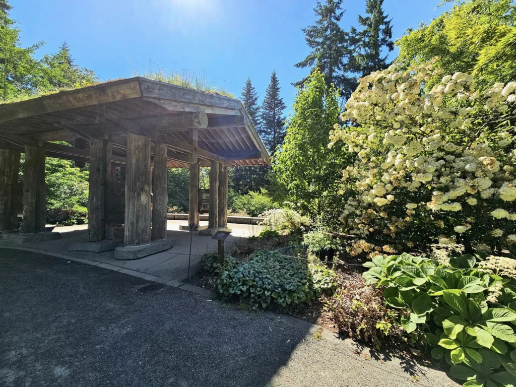 Cruising with Danny and Peter, Holland America Line, Westerdam, Seattle, Washington, United States, Day Trip Arctic Cruise | A vibrant collage capturing a day in Seattle, showcasing Lake Union’s serene waters reflecting the misty skyline with houseboats and kayakers, the towering Space Needle offering panoramic views of Puget Sound and Mount Rainier, and Chihuly Garden and Glass’s colorful glass sculptures blending with lush greenery. Pike Place Market buzzes with vendors tossing salmon and stalls brimming with flowers and artisanal goods under the iconic red sign. A cozy table at Villa Escondida displays tacos al pastor and enchiladas in a warm, mural-lined setting. The Seattle Great Wheel rises above Elliott Bay’s sparkling waterfront, while the Washington Park Arboretum’s tranquil paths feature blooming rhododendrons and a heron by a pond. The Japanese Garden’s koi pond, curved bridge, and stone lanterns create a Zen oasis, all set against Seattle’s dynamic blend of urban and natural beauty.