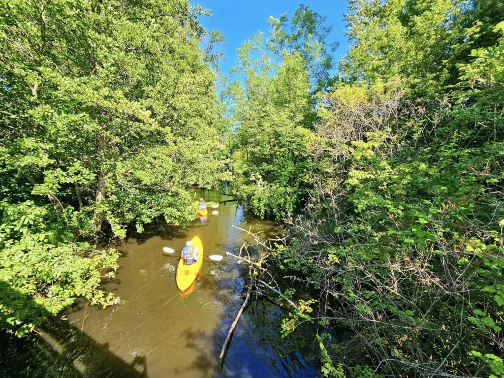 Cruising with Danny and Peter, Holland America Line, Westerdam, Seattle, Washington, United States, Day Trip Arctic Cruise | A vibrant collage capturing a day in Seattle, showcasing Lake Union’s serene waters reflecting the misty skyline with houseboats and kayakers, the towering Space Needle offering panoramic views of Puget Sound and Mount Rainier, and Chihuly Garden and Glass’s colorful glass sculptures blending with lush greenery. Pike Place Market buzzes with vendors tossing salmon and stalls brimming with flowers and artisanal goods under the iconic red sign. A cozy table at Villa Escondida displays tacos al pastor and enchiladas in a warm, mural-lined setting. The Seattle Great Wheel rises above Elliott Bay’s sparkling waterfront, while the Washington Park Arboretum’s tranquil paths feature blooming rhododendrons and a heron by a pond. The Japanese Garden’s koi pond, curved bridge, and stone lanterns create a Zen oasis, all set against Seattle’s dynamic blend of urban and natural beauty.
