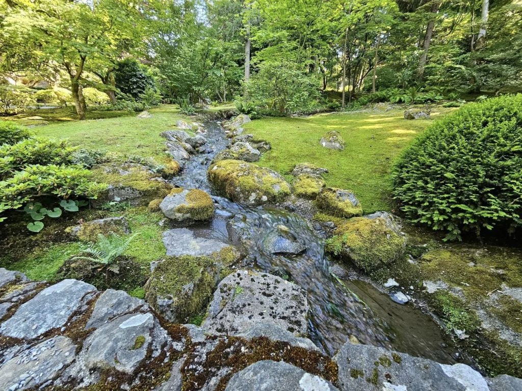Cruising with Danny and Peter, Holland America Line, Westerdam, Seattle, Washington, United States, Day Trip Arctic Cruise | A vibrant collage capturing a day in Seattle, showcasing Lake Union’s serene waters reflecting the misty skyline with houseboats and kayakers, the towering Space Needle offering panoramic views of Puget Sound and Mount Rainier, and Chihuly Garden and Glass’s colorful glass sculptures blending with lush greenery. Pike Place Market buzzes with vendors tossing salmon and stalls brimming with flowers and artisanal goods under the iconic red sign. A cozy table at Villa Escondida displays tacos al pastor and enchiladas in a warm, mural-lined setting. The Seattle Great Wheel rises above Elliott Bay’s sparkling waterfront, while the Washington Park Arboretum’s tranquil paths feature blooming rhododendrons and a heron by a pond. The Japanese Garden’s koi pond, curved bridge, and stone lanterns create a Zen oasis, all set against Seattle’s dynamic blend of urban and natural beauty.