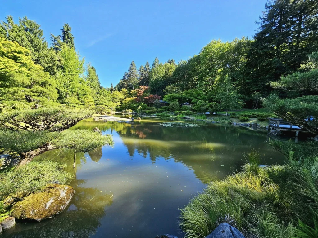 Cruising with Danny and Peter, Holland America Line, Westerdam, Seattle, Washington, United States, Day Trip Arctic Cruise | A vibrant collage capturing a day in Seattle, showcasing Lake Union’s serene waters reflecting the misty skyline with houseboats and kayakers, the towering Space Needle offering panoramic views of Puget Sound and Mount Rainier, and Chihuly Garden and Glass’s colorful glass sculptures blending with lush greenery. Pike Place Market buzzes with vendors tossing salmon and stalls brimming with flowers and artisanal goods under the iconic red sign. A cozy table at Villa Escondida displays tacos al pastor and enchiladas in a warm, mural-lined setting. The Seattle Great Wheel rises above Elliott Bay’s sparkling waterfront, while the Washington Park Arboretum’s tranquil paths feature blooming rhododendrons and a heron by a pond. The Japanese Garden’s koi pond, curved bridge, and stone lanterns create a Zen oasis, all set against Seattle’s dynamic blend of urban and natural beauty.