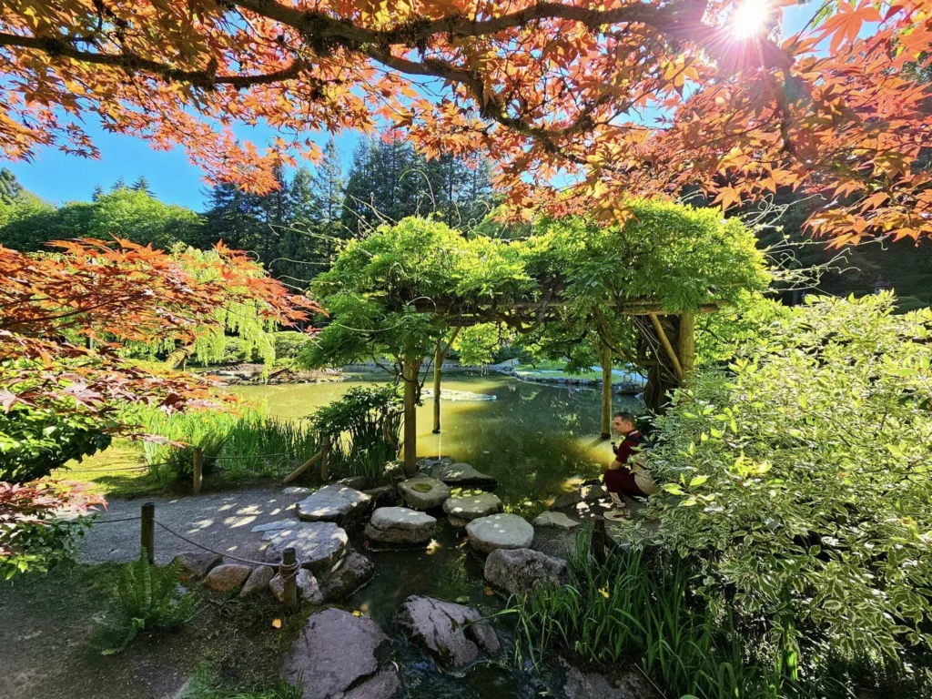 Cruising with Danny and Peter, Holland America Line, Westerdam, Seattle, Washington, United States, Day Trip Arctic Cruise | A vibrant collage capturing a day in Seattle, showcasing Lake Union’s serene waters reflecting the misty skyline with houseboats and kayakers, the towering Space Needle offering panoramic views of Puget Sound and Mount Rainier, and Chihuly Garden and Glass’s colorful glass sculptures blending with lush greenery. Pike Place Market buzzes with vendors tossing salmon and stalls brimming with flowers and artisanal goods under the iconic red sign. A cozy table at Villa Escondida displays tacos al pastor and enchiladas in a warm, mural-lined setting. The Seattle Great Wheel rises above Elliott Bay’s sparkling waterfront, while the Washington Park Arboretum’s tranquil paths feature blooming rhododendrons and a heron by a pond. The Japanese Garden’s koi pond, curved bridge, and stone lanterns create a Zen oasis, all set against Seattle’s dynamic blend of urban and natural beauty.