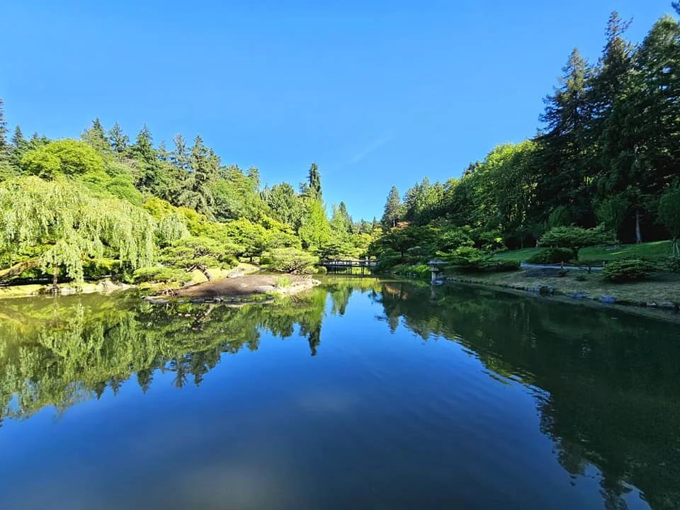Cruising with Danny and Peter, Holland America Line, Westerdam, Seattle, Washington, United States, Day Trip Arctic Cruise | A vibrant collage capturing a day in Seattle, showcasing Lake Union’s serene waters reflecting the misty skyline with houseboats and kayakers, the towering Space Needle offering panoramic views of Puget Sound and Mount Rainier, and Chihuly Garden and Glass’s colorful glass sculptures blending with lush greenery. Pike Place Market buzzes with vendors tossing salmon and stalls brimming with flowers and artisanal goods under the iconic red sign. A cozy table at Villa Escondida displays tacos al pastor and enchiladas in a warm, mural-lined setting. The Seattle Great Wheel rises above Elliott Bay’s sparkling waterfront, while the Washington Park Arboretum’s tranquil paths feature blooming rhododendrons and a heron by a pond. The Japanese Garden’s koi pond, curved bridge, and stone lanterns create a Zen oasis, all set against Seattle’s dynamic blend of urban and natural beauty.