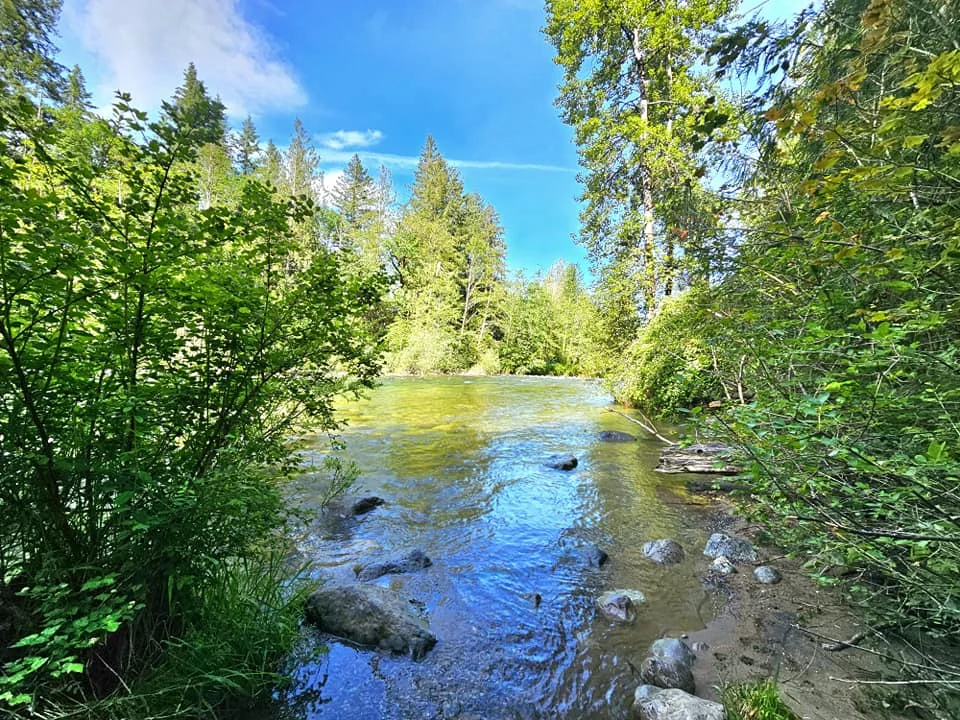 Cruising with Danny and Peter, Holland America Line, Westerdam, Seattle, Washington, United States, Day Trip Waterfalls History | A vibrant collage captures a day in Seattle’s Pacific Northwest Waterfalls Tour, showcasing Pike Place Market’s bustling scene with fishmongers tossing salmon and colorful flower stalls under the iconic red neon sign, set against Puget Sound’s waterfront; Twin Falls cascading over mossy cliffs into a misty pool, surrounded by old-growth evergreens in Olallie State Park, with sunlight filtering through the canopy; North Bend’s retro Twin Peaks diner with its glowing neon sign and quaint main street, framed by rolling hills and the Cascade Mountains; the majestic 270-foot Snoqualmie Falls roaring into a misty pool, with rainbows shimmering in the sunlight and a wooden viewing platform overlooking the lush Snoqualmie Valley; Snoqualmie’s historic district, featuring the Northwest Railway Museum’s vintage locomotives and charming shops lined with old-fashioned street lamps; Borst Lake’s serene waters reflecting Mount Si’s snow-capped peak, with a heron at the edge and evergreen forests under a soft morning mist; and the Museum of Flight’s sleek Concorde and Air Force One jets displayed in a spacious hangar, alongside interactive simulators and a replica of the International Space Station, showcasing Seattle’s aviation heritage.