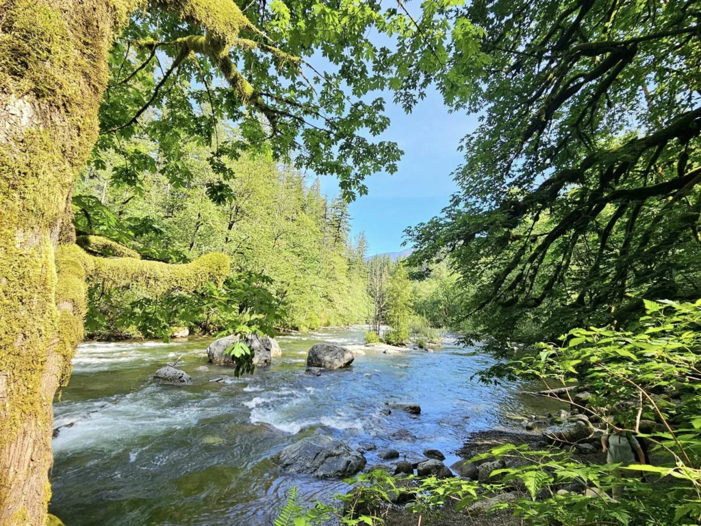 Cruising with Danny and Peter, Holland America Line, Westerdam, Seattle, Washington, United States, Day Trip Waterfalls History | A vibrant collage captures a day in Seattle’s Pacific Northwest Waterfalls Tour, showcasing Pike Place Market’s bustling scene with fishmongers tossing salmon and colorful flower stalls under the iconic red neon sign, set against Puget Sound’s waterfront; Twin Falls cascading over mossy cliffs into a misty pool, surrounded by old-growth evergreens in Olallie State Park, with sunlight filtering through the canopy; North Bend’s retro Twin Peaks diner with its glowing neon sign and quaint main street, framed by rolling hills and the Cascade Mountains; the majestic 270-foot Snoqualmie Falls roaring into a misty pool, with rainbows shimmering in the sunlight and a wooden viewing platform overlooking the lush Snoqualmie Valley; Snoqualmie’s historic district, featuring the Northwest Railway Museum’s vintage locomotives and charming shops lined with old-fashioned street lamps; Borst Lake’s serene waters reflecting Mount Si’s snow-capped peak, with a heron at the edge and evergreen forests under a soft morning mist; and the Museum of Flight’s sleek Concorde and Air Force One jets displayed in a spacious hangar, alongside interactive simulators and a replica of the International Space Station, showcasing Seattle’s aviation heritage.