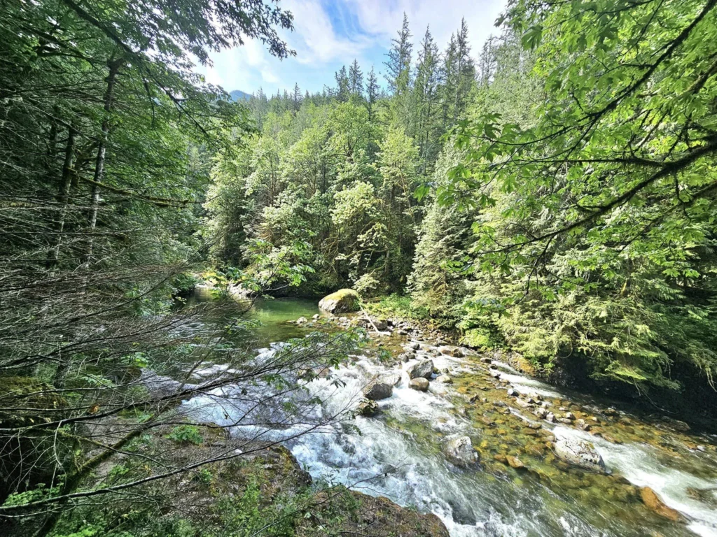 Cruising with Danny and Peter, Holland America Line, Westerdam, Seattle, Washington, United States, Day Trip Waterfalls History | A vibrant collage captures a day in Seattle’s Pacific Northwest Waterfalls Tour, showcasing Pike Place Market’s bustling scene with fishmongers tossing salmon and colorful flower stalls under the iconic red neon sign, set against Puget Sound’s waterfront; Twin Falls cascading over mossy cliffs into a misty pool, surrounded by old-growth evergreens in Olallie State Park, with sunlight filtering through the canopy; North Bend’s retro Twin Peaks diner with its glowing neon sign and quaint main street, framed by rolling hills and the Cascade Mountains; the majestic 270-foot Snoqualmie Falls roaring into a misty pool, with rainbows shimmering in the sunlight and a wooden viewing platform overlooking the lush Snoqualmie Valley; Snoqualmie’s historic district, featuring the Northwest Railway Museum’s vintage locomotives and charming shops lined with old-fashioned street lamps; Borst Lake’s serene waters reflecting Mount Si’s snow-capped peak, with a heron at the edge and evergreen forests under a soft morning mist; and the Museum of Flight’s sleek Concorde and Air Force One jets displayed in a spacious hangar, alongside interactive simulators and a replica of the International Space Station, showcasing Seattle’s aviation heritage.