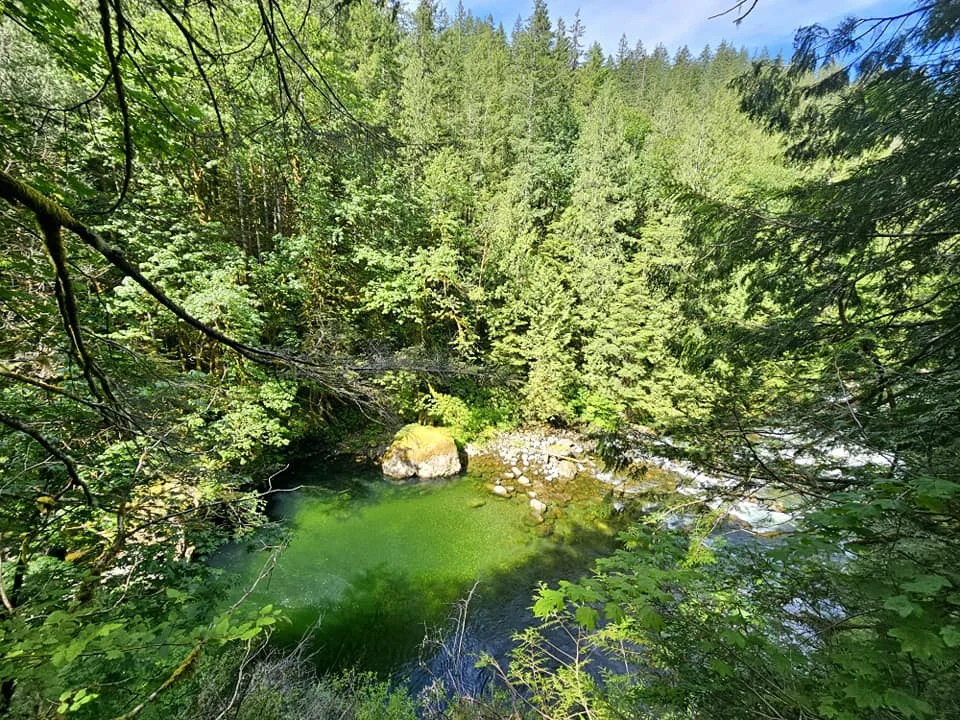 Cruising with Danny and Peter, Holland America Line, Westerdam, Seattle, Washington, United States, Day Trip Waterfalls History | A vibrant collage captures a day in Seattle’s Pacific Northwest Waterfalls Tour, showcasing Pike Place Market’s bustling scene with fishmongers tossing salmon and colorful flower stalls under the iconic red neon sign, set against Puget Sound’s waterfront; Twin Falls cascading over mossy cliffs into a misty pool, surrounded by old-growth evergreens in Olallie State Park, with sunlight filtering through the canopy; North Bend’s retro Twin Peaks diner with its glowing neon sign and quaint main street, framed by rolling hills and the Cascade Mountains; the majestic 270-foot Snoqualmie Falls roaring into a misty pool, with rainbows shimmering in the sunlight and a wooden viewing platform overlooking the lush Snoqualmie Valley; Snoqualmie’s historic district, featuring the Northwest Railway Museum’s vintage locomotives and charming shops lined with old-fashioned street lamps; Borst Lake’s serene waters reflecting Mount Si’s snow-capped peak, with a heron at the edge and evergreen forests under a soft morning mist; and the Museum of Flight’s sleek Concorde and Air Force One jets displayed in a spacious hangar, alongside interactive simulators and a replica of the International Space Station, showcasing Seattle’s aviation heritage.
