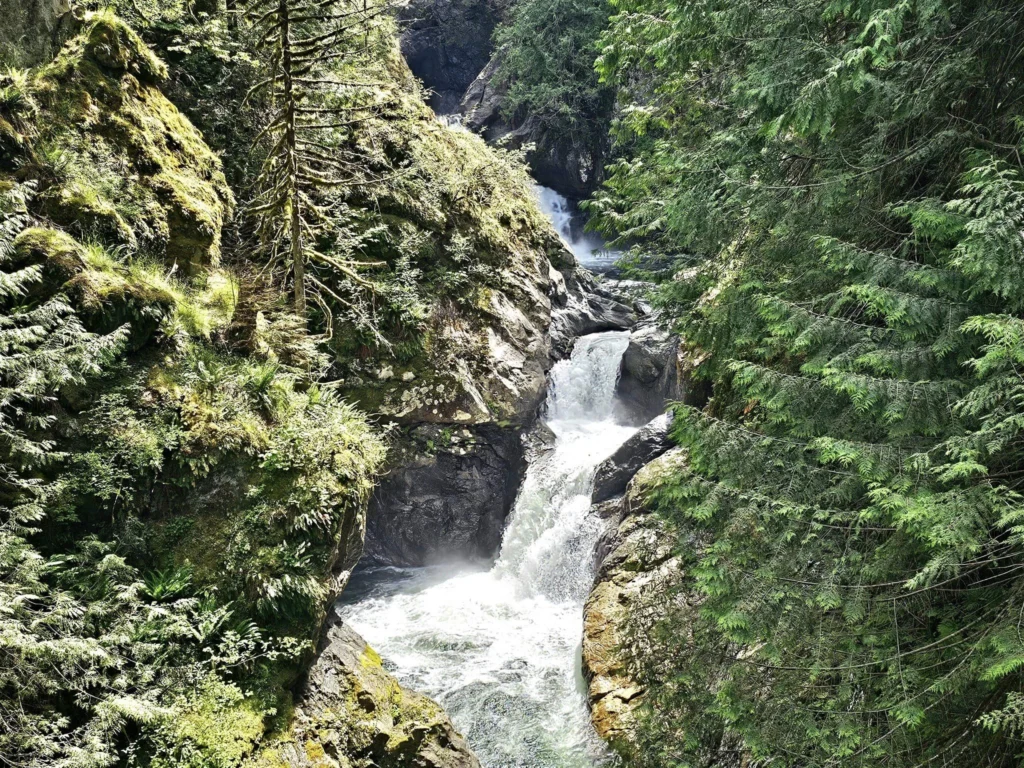 Cruising with Danny and Peter, Holland America Line, Westerdam, Seattle, Washington, United States, Day Trip Waterfalls History | A vibrant collage captures a day in Seattle’s Pacific Northwest Waterfalls Tour, showcasing Pike Place Market’s bustling scene with fishmongers tossing salmon and colorful flower stalls under the iconic red neon sign, set against Puget Sound’s waterfront; Twin Falls cascading over mossy cliffs into a misty pool, surrounded by old-growth evergreens in Olallie State Park, with sunlight filtering through the canopy; North Bend’s retro Twin Peaks diner with its glowing neon sign and quaint main street, framed by rolling hills and the Cascade Mountains; the majestic 270-foot Snoqualmie Falls roaring into a misty pool, with rainbows shimmering in the sunlight and a wooden viewing platform overlooking the lush Snoqualmie Valley; Snoqualmie’s historic district, featuring the Northwest Railway Museum’s vintage locomotives and charming shops lined with old-fashioned street lamps; Borst Lake’s serene waters reflecting Mount Si’s snow-capped peak, with a heron at the edge and evergreen forests under a soft morning mist; and the Museum of Flight’s sleek Concorde and Air Force One jets displayed in a spacious hangar, alongside interactive simulators and a replica of the International Space Station, showcasing Seattle’s aviation heritage.
