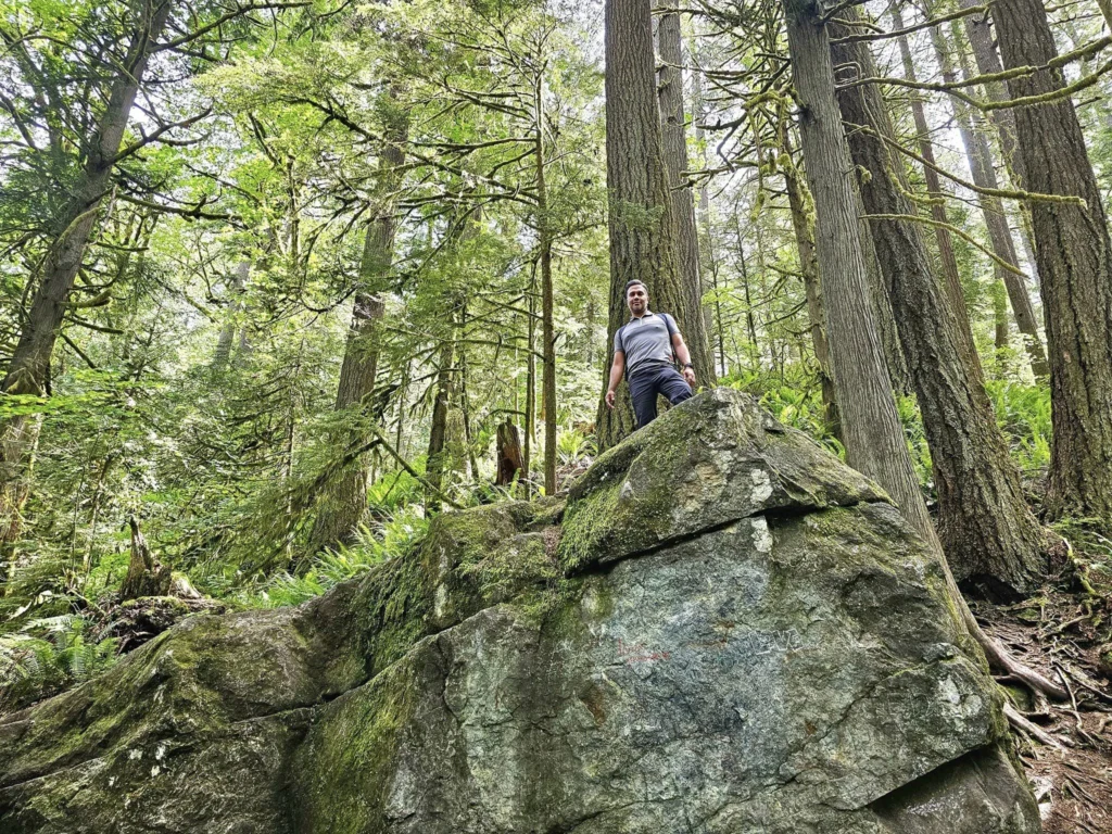 Cruising with Danny and Peter, Holland America Line, Westerdam, Seattle, Washington, United States, Day Trip Waterfalls History | A vibrant collage captures a day in Seattle’s Pacific Northwest Waterfalls Tour, showcasing Pike Place Market’s bustling scene with fishmongers tossing salmon and colorful flower stalls under the iconic red neon sign, set against Puget Sound’s waterfront; Twin Falls cascading over mossy cliffs into a misty pool, surrounded by old-growth evergreens in Olallie State Park, with sunlight filtering through the canopy; North Bend’s retro Twin Peaks diner with its glowing neon sign and quaint main street, framed by rolling hills and the Cascade Mountains; the majestic 270-foot Snoqualmie Falls roaring into a misty pool, with rainbows shimmering in the sunlight and a wooden viewing platform overlooking the lush Snoqualmie Valley; Snoqualmie’s historic district, featuring the Northwest Railway Museum’s vintage locomotives and charming shops lined with old-fashioned street lamps; Borst Lake’s serene waters reflecting Mount Si’s snow-capped peak, with a heron at the edge and evergreen forests under a soft morning mist; and the Museum of Flight’s sleek Concorde and Air Force One jets displayed in a spacious hangar, alongside interactive simulators and a replica of the International Space Station, showcasing Seattle’s aviation heritage.