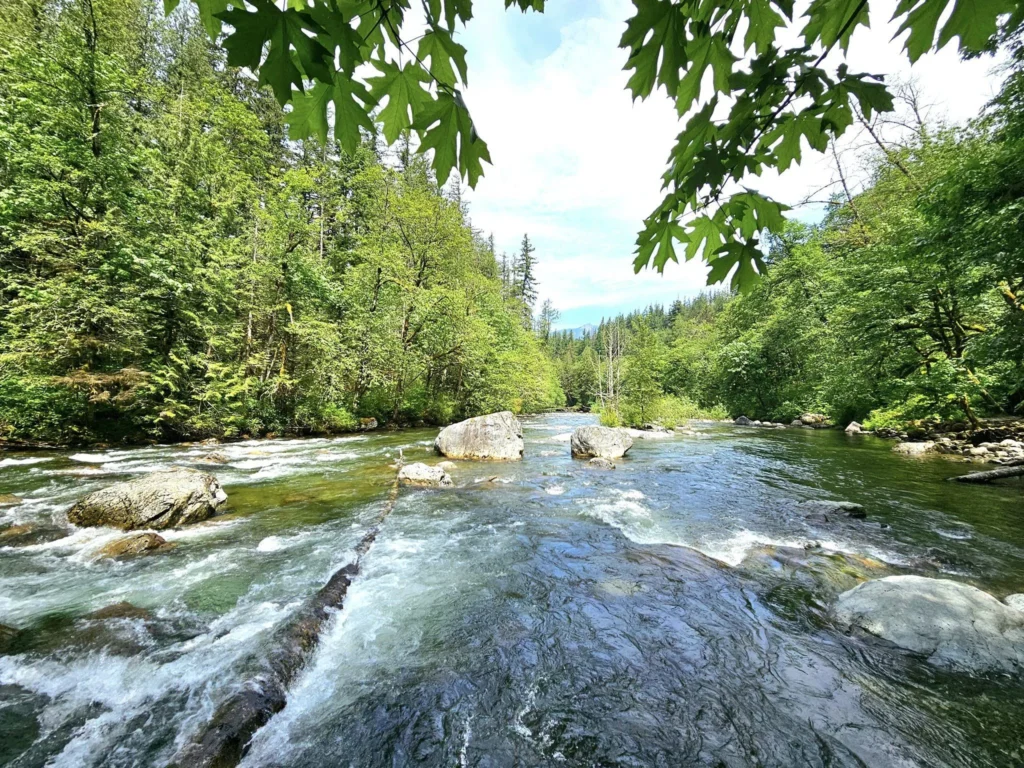 Cruising with Danny and Peter, Holland America Line, Westerdam, Seattle, Washington, United States, Day Trip Waterfalls History | A vibrant collage captures a day in Seattle’s Pacific Northwest Waterfalls Tour, showcasing Pike Place Market’s bustling scene with fishmongers tossing salmon and colorful flower stalls under the iconic red neon sign, set against Puget Sound’s waterfront; Twin Falls cascading over mossy cliffs into a misty pool, surrounded by old-growth evergreens in Olallie State Park, with sunlight filtering through the canopy; North Bend’s retro Twin Peaks diner with its glowing neon sign and quaint main street, framed by rolling hills and the Cascade Mountains; the majestic 270-foot Snoqualmie Falls roaring into a misty pool, with rainbows shimmering in the sunlight and a wooden viewing platform overlooking the lush Snoqualmie Valley; Snoqualmie’s historic district, featuring the Northwest Railway Museum’s vintage locomotives and charming shops lined with old-fashioned street lamps; Borst Lake’s serene waters reflecting Mount Si’s snow-capped peak, with a heron at the edge and evergreen forests under a soft morning mist; and the Museum of Flight’s sleek Concorde and Air Force One jets displayed in a spacious hangar, alongside interactive simulators and a replica of the International Space Station, showcasing Seattle’s aviation heritage.