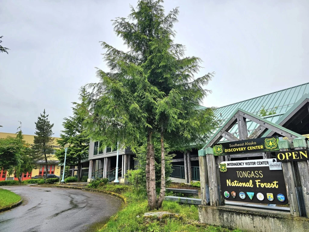 Cruising with Danny and Peter, Holland America Line, Westerdam, Ketchikan, Alaska, United States, Adventure History Thrills | A vibrant collage capturing the Ketchikan Adventure Tour in Alaska, featuring a dynamic log-rolling contest at the Great Alaskan Lumberjack Show with lumberjacks in plaid shirts balancing on a floating log, a rugged UTV navigating a muddy trail through the Tongass National Forest with George Inlet Fjords’ turquoise waters in view, a serene scenic cruise along the Inside Passage with a bald eagle soaring above mist-covered mountains, and a cozy scene at George Inlet Lodge with a rustic table set with craft beers, creamy crab chowder, hot Dungeness crab, and blueberry cheesecake. In the background, Ketchikan’s historic Creek Street showcases colorful buildings on stilts and a Tlingit totem pole, framed by lush greenery and rugged Alaskan peaks, embodying the city’s thrilling adventures and rich cultural heritage.