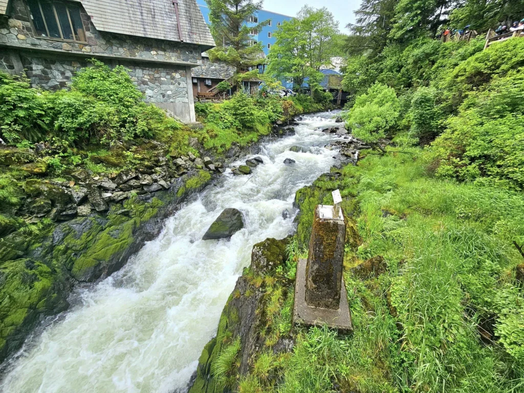 Cruising with Danny and Peter, Holland America Line, Westerdam, Ketchikan, Alaska, United States, Adventure History Thrills | A vibrant collage capturing the Ketchikan Adventure Tour in Alaska, featuring a dynamic log-rolling contest at the Great Alaskan Lumberjack Show with lumberjacks in plaid shirts balancing on a floating log, a rugged UTV navigating a muddy trail through the Tongass National Forest with George Inlet Fjords’ turquoise waters in view, a serene scenic cruise along the Inside Passage with a bald eagle soaring above mist-covered mountains, and a cozy scene at George Inlet Lodge with a rustic table set with craft beers, creamy crab chowder, hot Dungeness crab, and blueberry cheesecake. In the background, Ketchikan’s historic Creek Street showcases colorful buildings on stilts and a Tlingit totem pole, framed by lush greenery and rugged Alaskan peaks, embodying the city’s thrilling adventures and rich cultural heritage.