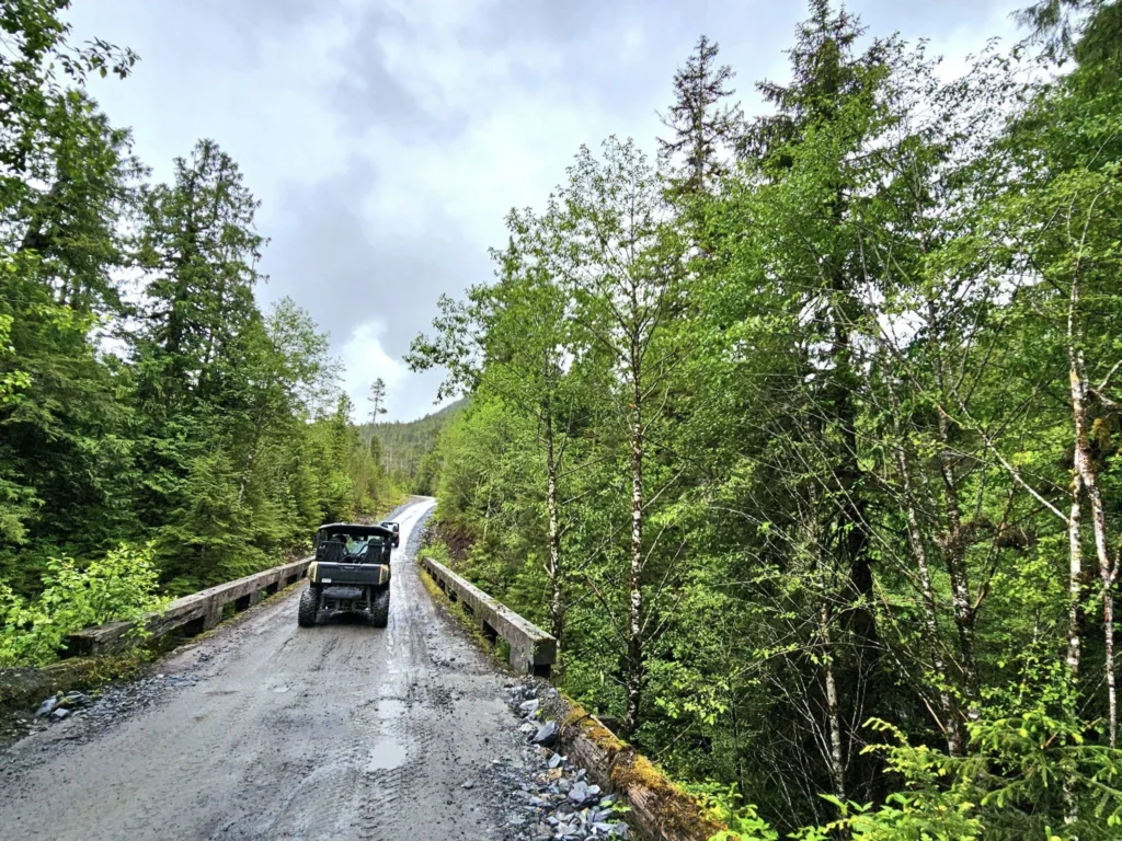 Cruising with Danny and Peter, Holland America Line, Westerdam, Ketchikan, Alaska, United States, Adventure History Thrills | A vibrant collage capturing the Ketchikan Adventure Tour in Alaska, featuring a dynamic log-rolling contest at the Great Alaskan Lumberjack Show with lumberjacks in plaid shirts balancing on a floating log, a rugged UTV navigating a muddy trail through the Tongass National Forest with George Inlet Fjords’ turquoise waters in view, a serene scenic cruise along the Inside Passage with a bald eagle soaring above mist-covered mountains, and a cozy scene at George Inlet Lodge with a rustic table set with craft beers, creamy crab chowder, hot Dungeness crab, and blueberry cheesecake. In the background, Ketchikan’s historic Creek Street showcases colorful buildings on stilts and a Tlingit totem pole, framed by lush greenery and rugged Alaskan peaks, embodying the city’s thrilling adventures and rich cultural heritage.