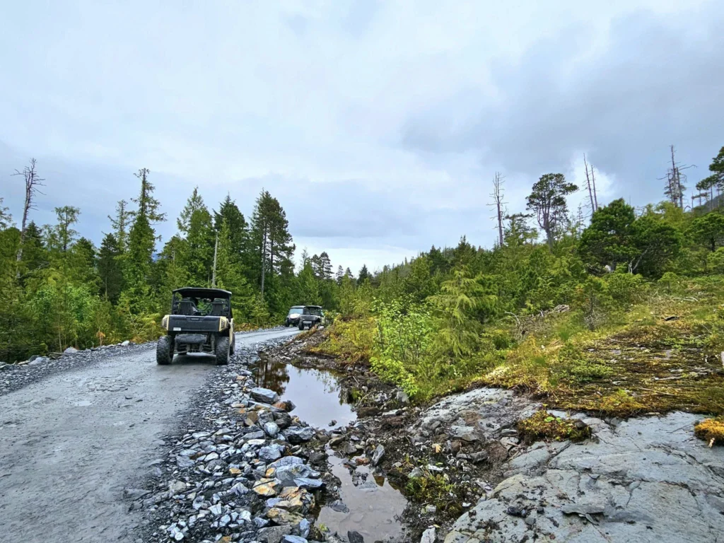 Cruising with Danny and Peter, Holland America Line, Westerdam, Ketchikan, Alaska, United States, Adventure History Thrills | A vibrant collage capturing the Ketchikan Adventure Tour in Alaska, featuring a dynamic log-rolling contest at the Great Alaskan Lumberjack Show with lumberjacks in plaid shirts balancing on a floating log, a rugged UTV navigating a muddy trail through the Tongass National Forest with George Inlet Fjords’ turquoise waters in view, a serene scenic cruise along the Inside Passage with a bald eagle soaring above mist-covered mountains, and a cozy scene at George Inlet Lodge with a rustic table set with craft beers, creamy crab chowder, hot Dungeness crab, and blueberry cheesecake. In the background, Ketchikan’s historic Creek Street showcases colorful buildings on stilts and a Tlingit totem pole, framed by lush greenery and rugged Alaskan peaks, embodying the city’s thrilling adventures and rich cultural heritage.