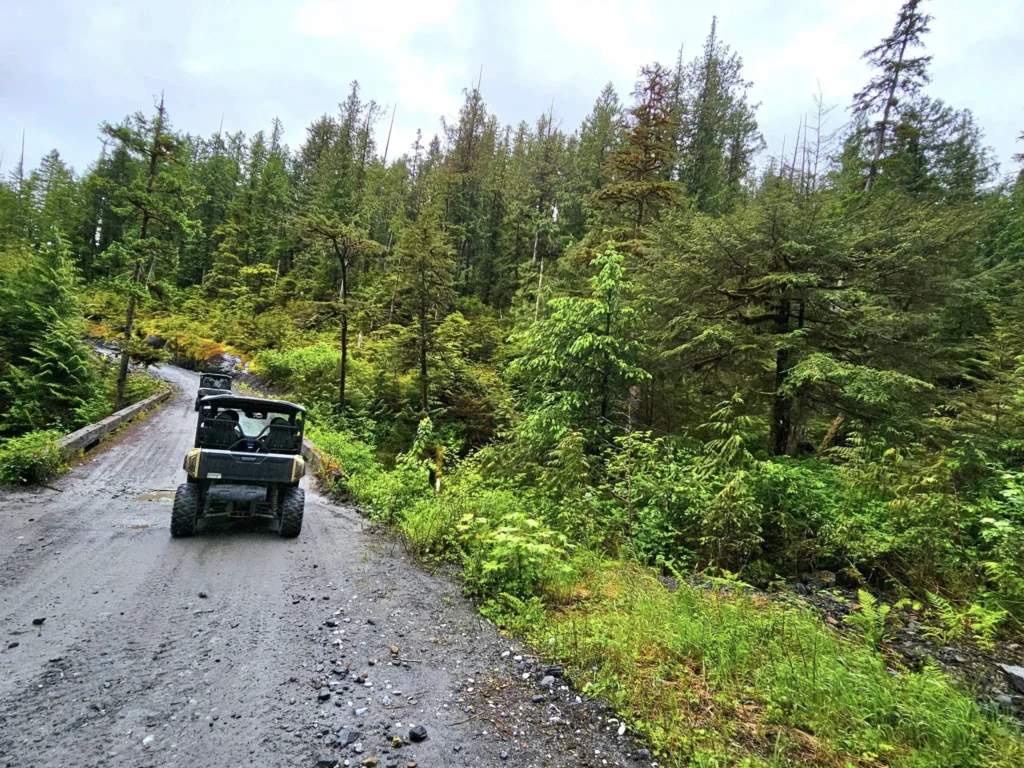Cruising with Danny and Peter, Holland America Line, Westerdam, Ketchikan, Alaska, United States, Adventure History Thrills | A vibrant collage capturing the Ketchikan Adventure Tour in Alaska, featuring a dynamic log-rolling contest at the Great Alaskan Lumberjack Show with lumberjacks in plaid shirts balancing on a floating log, a rugged UTV navigating a muddy trail through the Tongass National Forest with George Inlet Fjords’ turquoise waters in view, a serene scenic cruise along the Inside Passage with a bald eagle soaring above mist-covered mountains, and a cozy scene at George Inlet Lodge with a rustic table set with craft beers, creamy crab chowder, hot Dungeness crab, and blueberry cheesecake. In the background, Ketchikan’s historic Creek Street showcases colorful buildings on stilts and a Tlingit totem pole, framed by lush greenery and rugged Alaskan peaks, embodying the city’s thrilling adventures and rich cultural heritage.