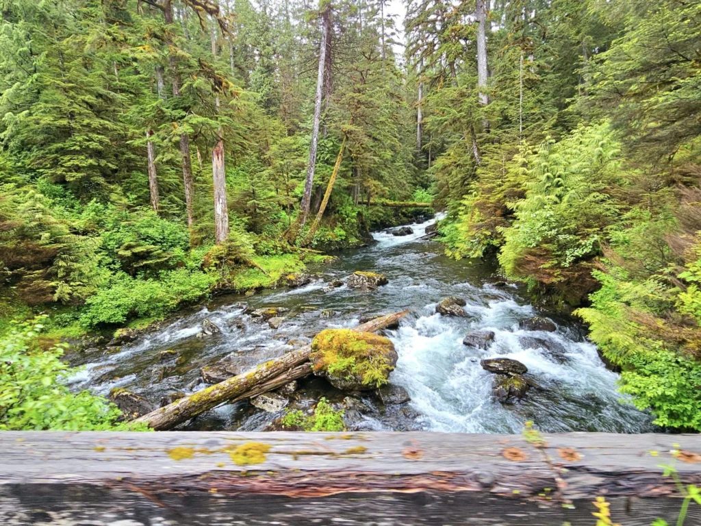 Cruising with Danny and Peter, Holland America Line, Westerdam, Ketchikan, Alaska, United States, Adventure History Thrills | A vibrant collage capturing the Ketchikan Adventure Tour in Alaska, featuring a dynamic log-rolling contest at the Great Alaskan Lumberjack Show with lumberjacks in plaid shirts balancing on a floating log, a rugged UTV navigating a muddy trail through the Tongass National Forest with George Inlet Fjords’ turquoise waters in view, a serene scenic cruise along the Inside Passage with a bald eagle soaring above mist-covered mountains, and a cozy scene at George Inlet Lodge with a rustic table set with craft beers, creamy crab chowder, hot Dungeness crab, and blueberry cheesecake. In the background, Ketchikan’s historic Creek Street showcases colorful buildings on stilts and a Tlingit totem pole, framed by lush greenery and rugged Alaskan peaks, embodying the city’s thrilling adventures and rich cultural heritage.